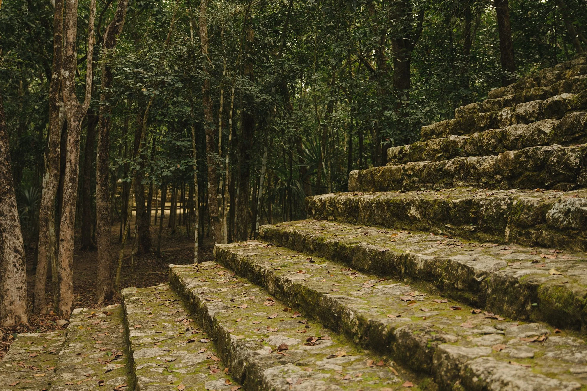 20220206-Slowness-Tulum-Travel-Victor-Stonem-3.jpg