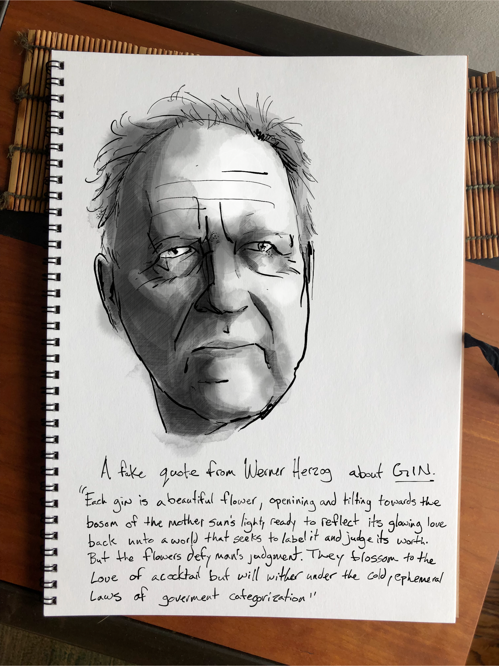 A FAke Quote on Gin from Werner Herzod Andrew Bohrer.png
