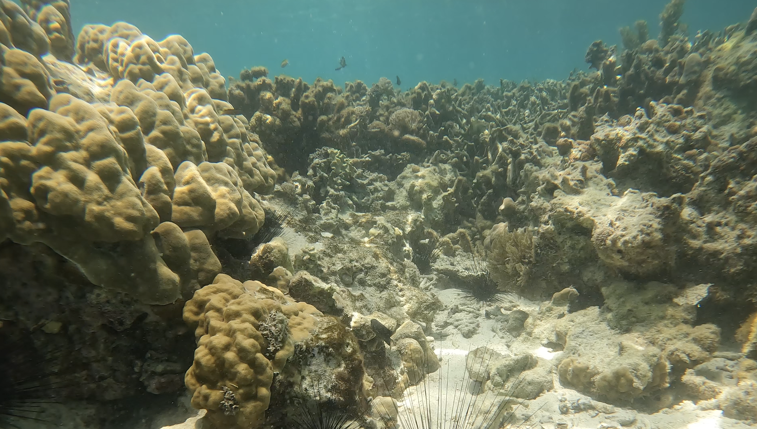 Screenshot 2025-04-07 at 12.29.34 PM.png