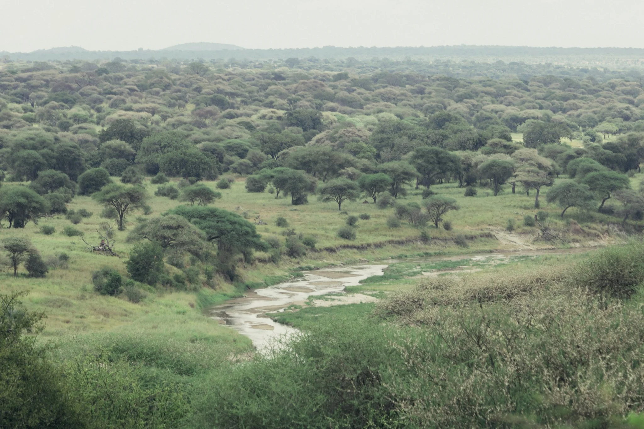 Tanzania National Parks -06.jpg