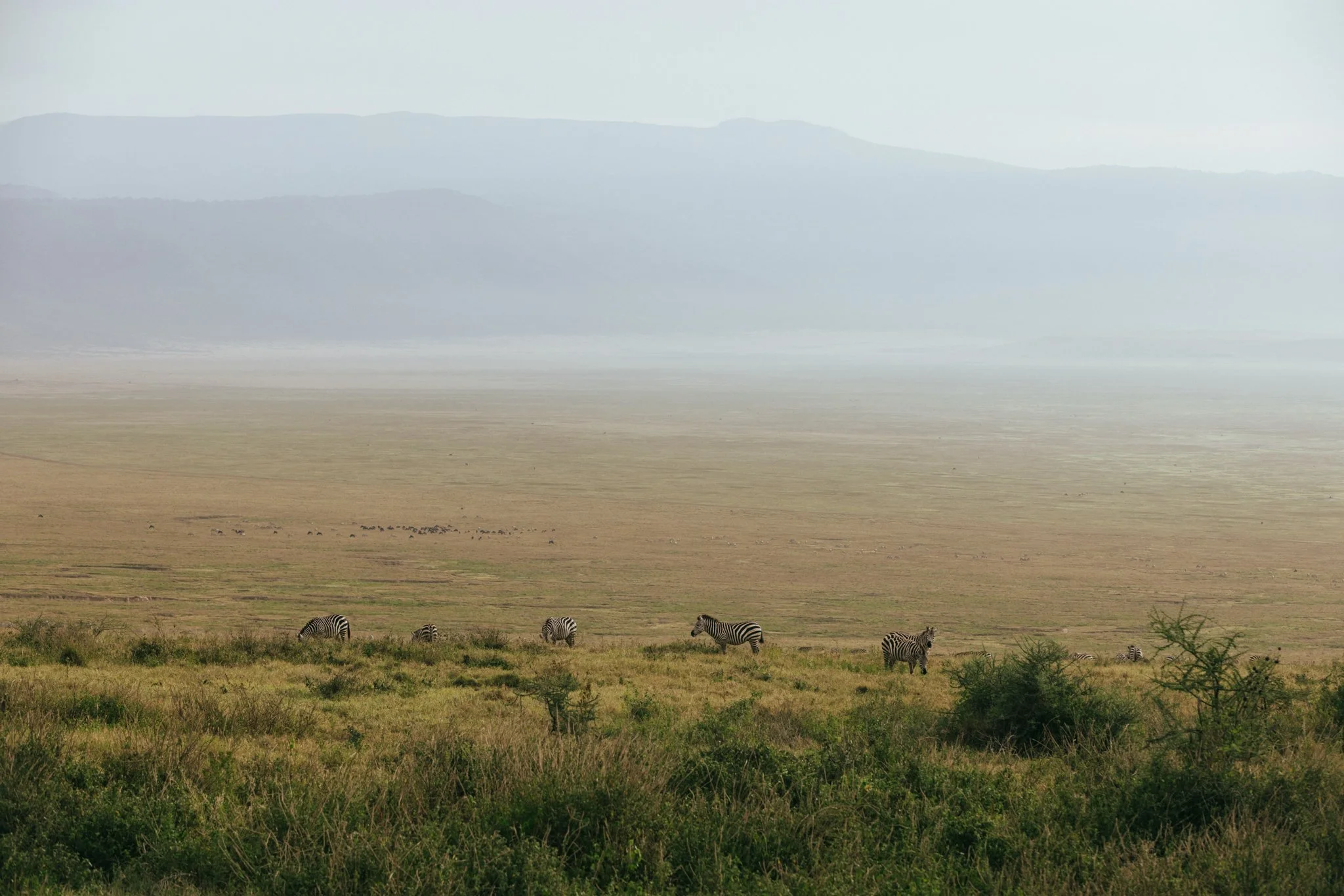 Tanzania National Parks -11.jpg