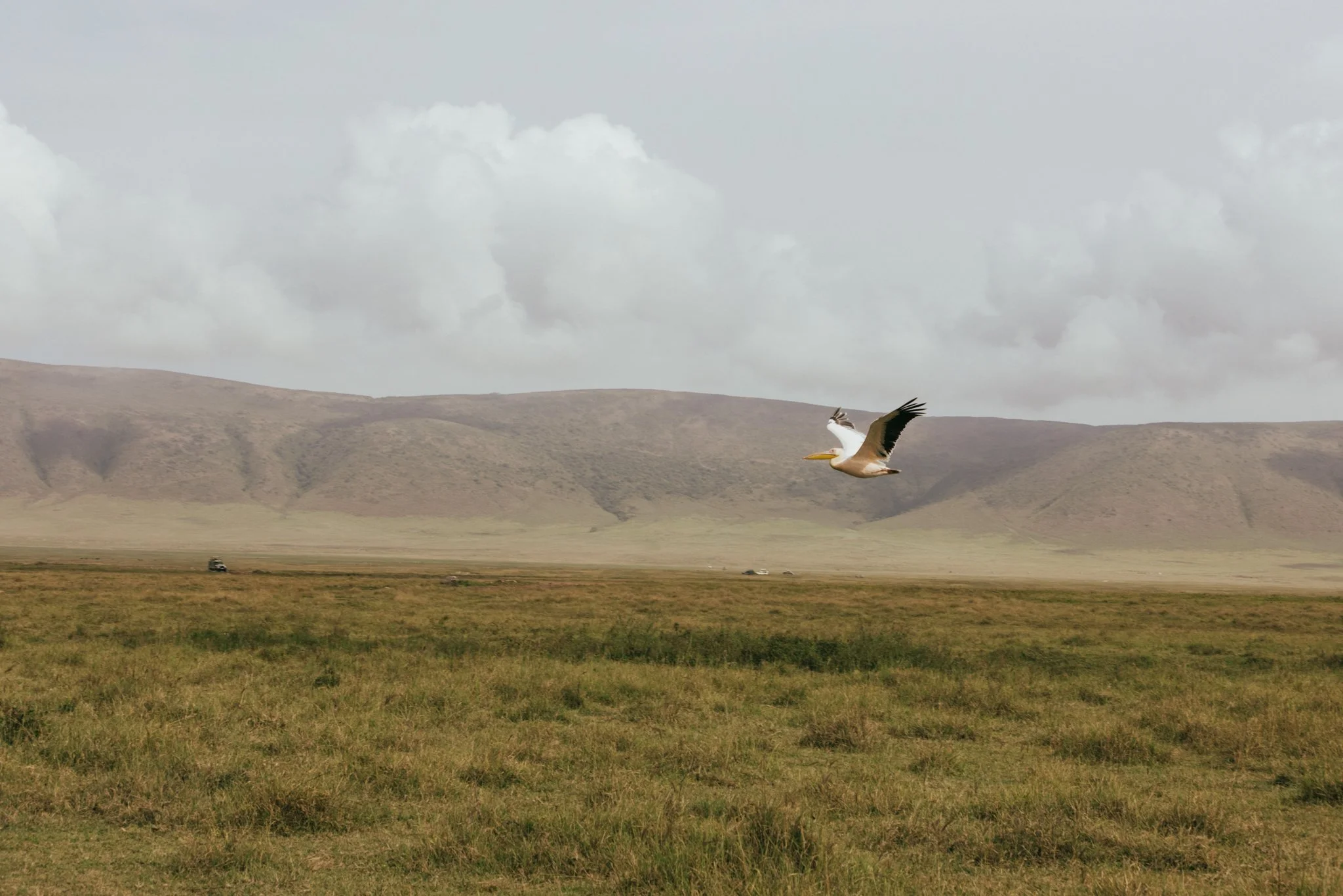 Tanzania National Parks -12.jpg