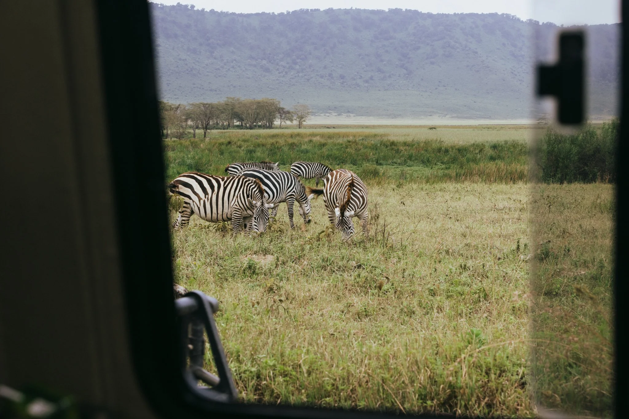 Tanzania National Parks -14.jpg