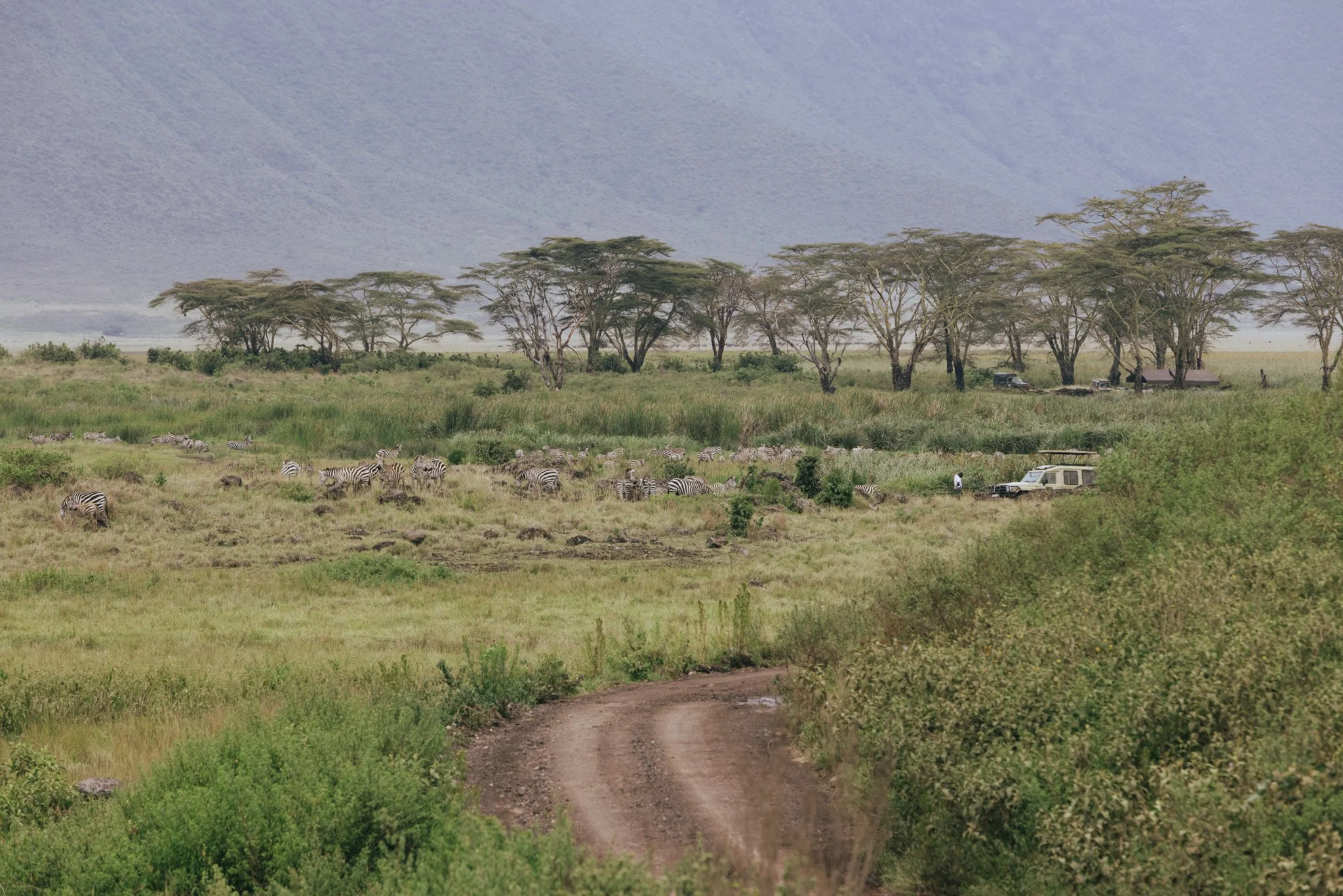 Tanzania National Parks -15.jpg