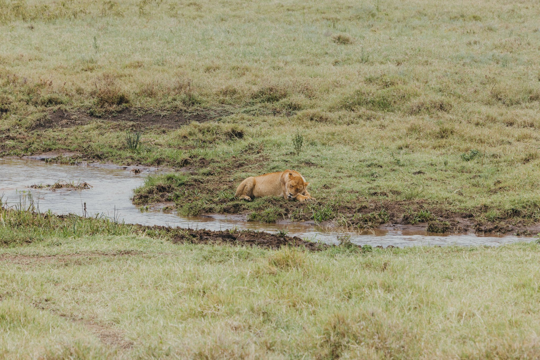 Tanzania National Parks -17.jpg