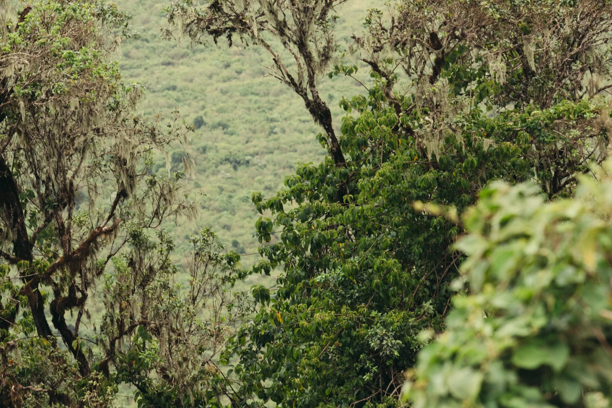 Tanzania National Parks -20.jpg