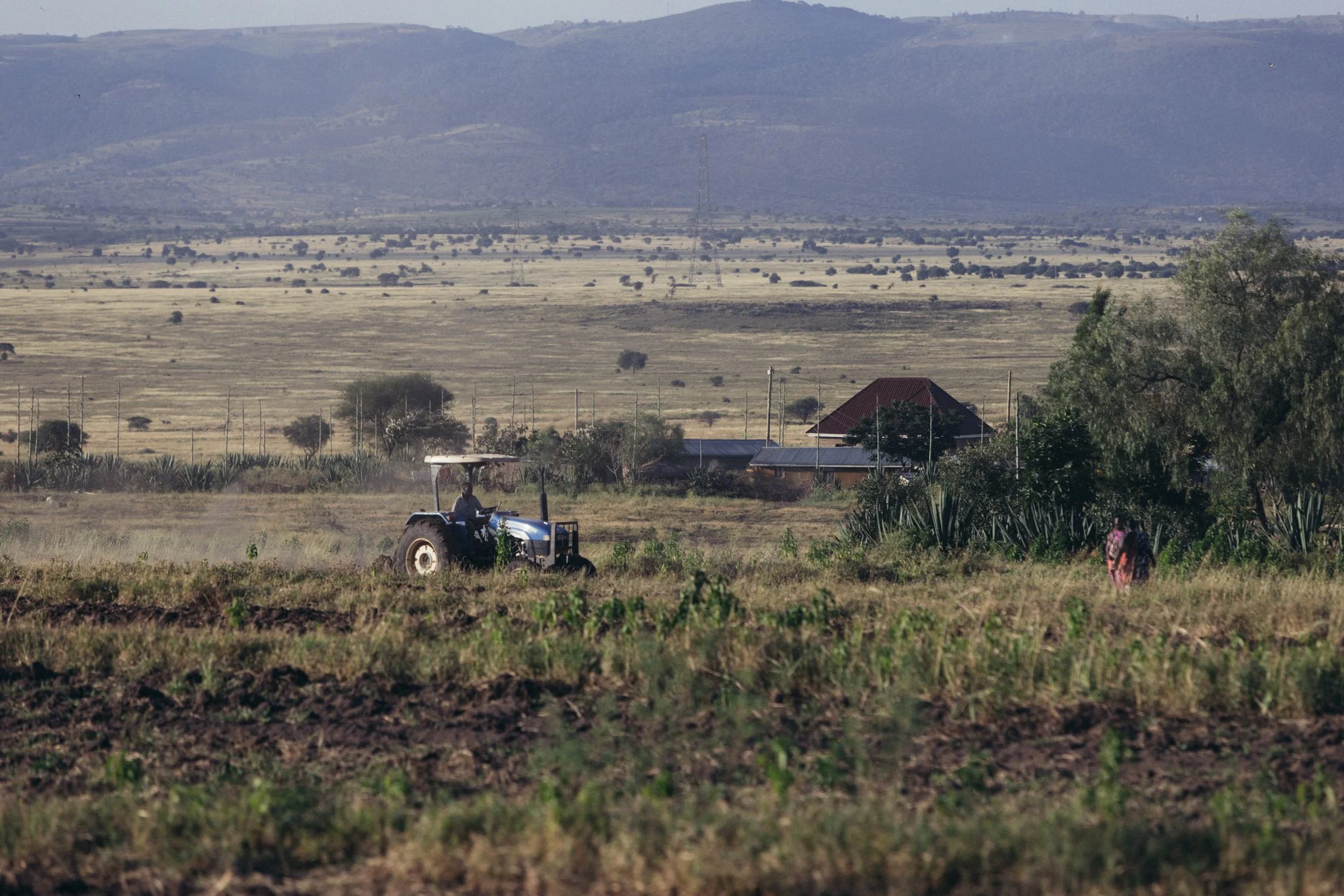 Tanzania National Parks -21.jpg
