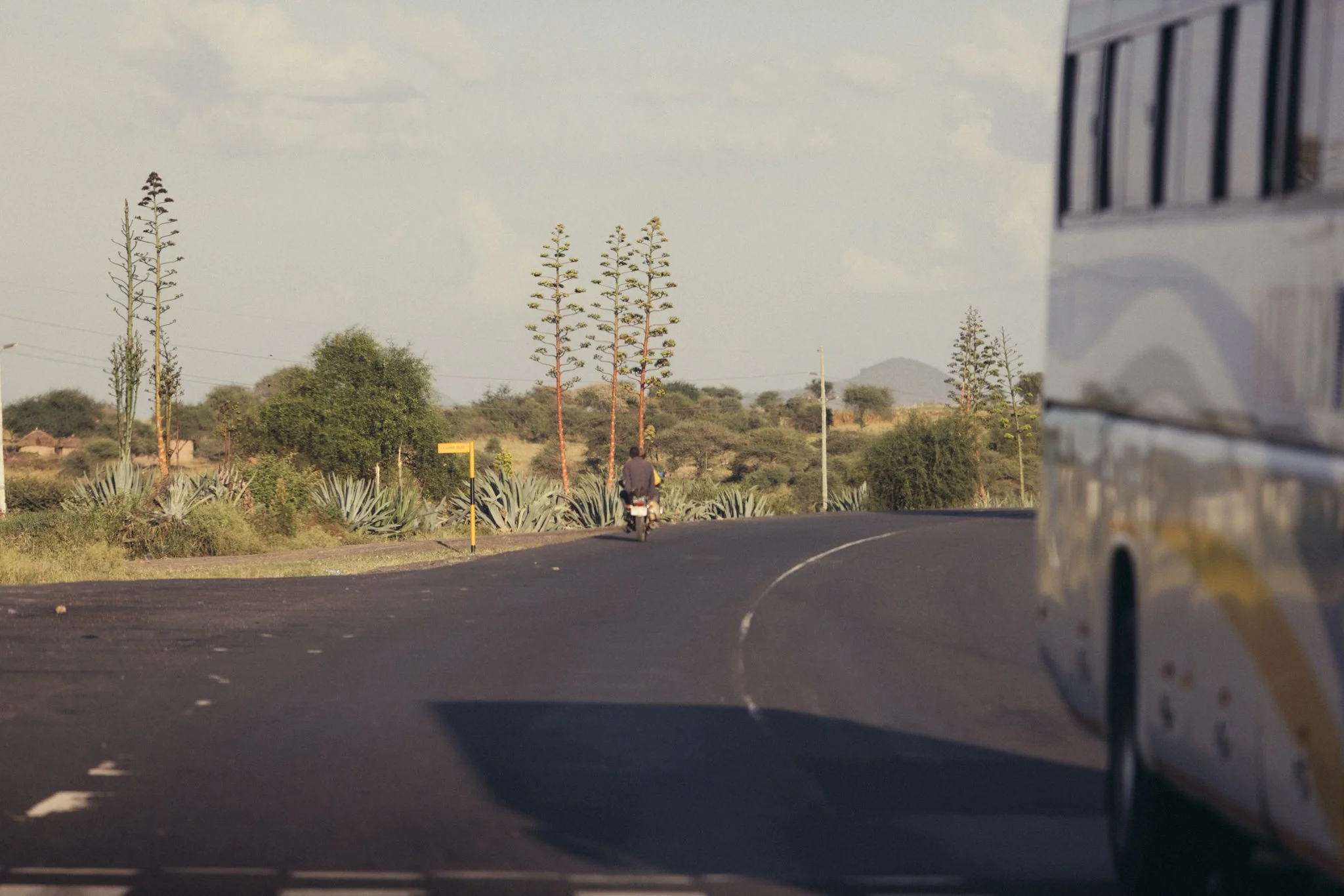 Tanzania National Parks -23.jpg