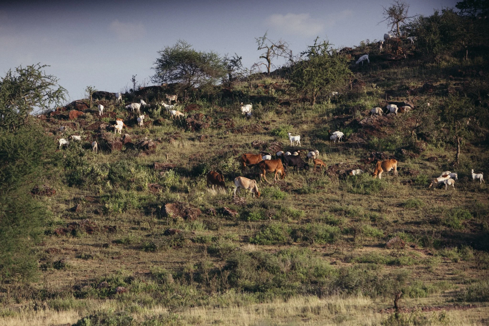 Tanzania National Parks -24.jpg