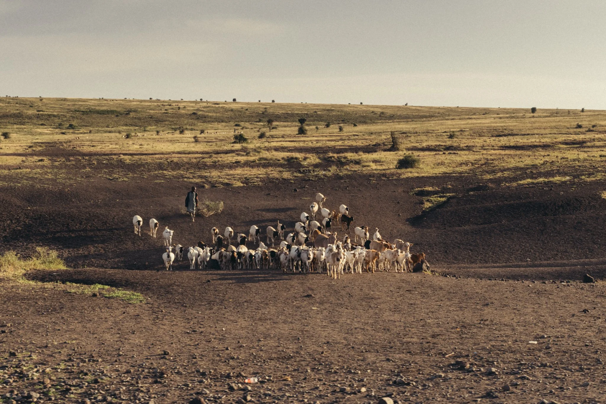 Tanzania National Parks -26.jpg