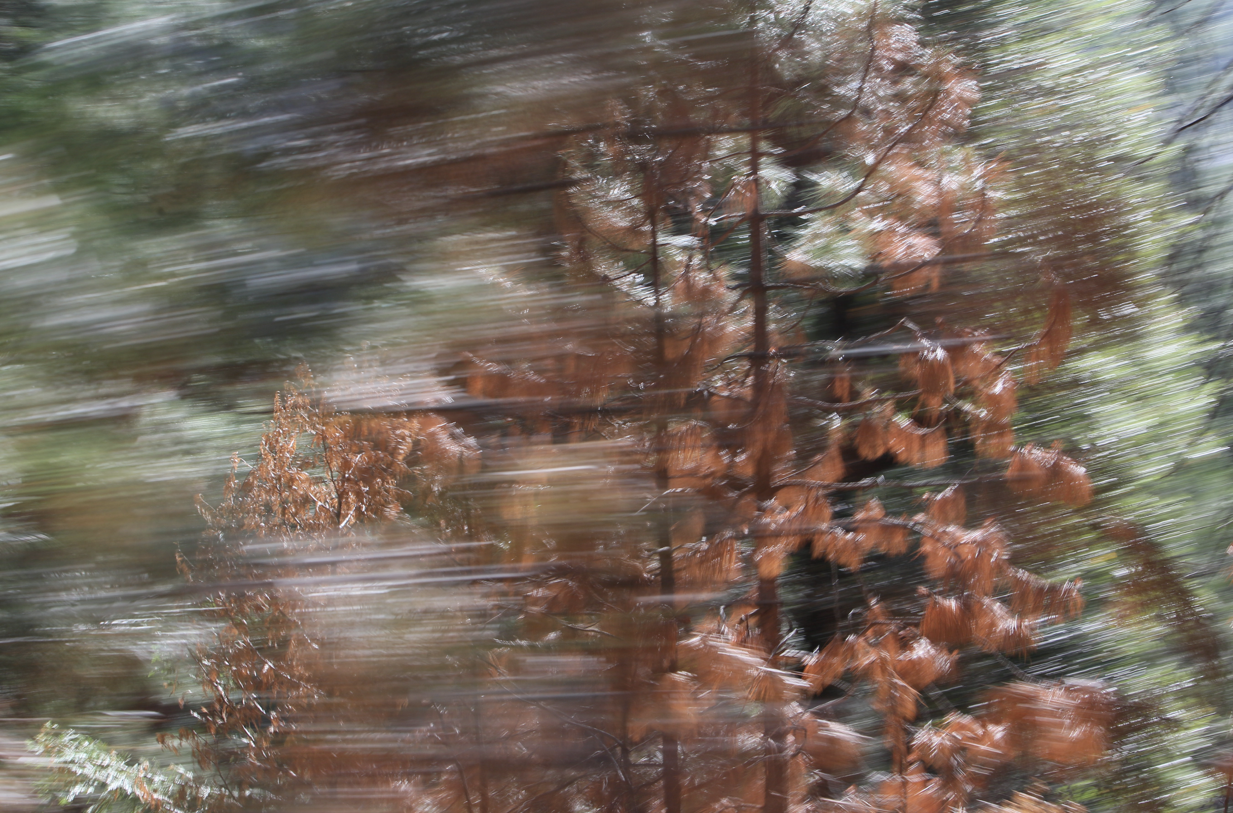 Screenshot 2023-12-29 at 4.09.31 PM.png