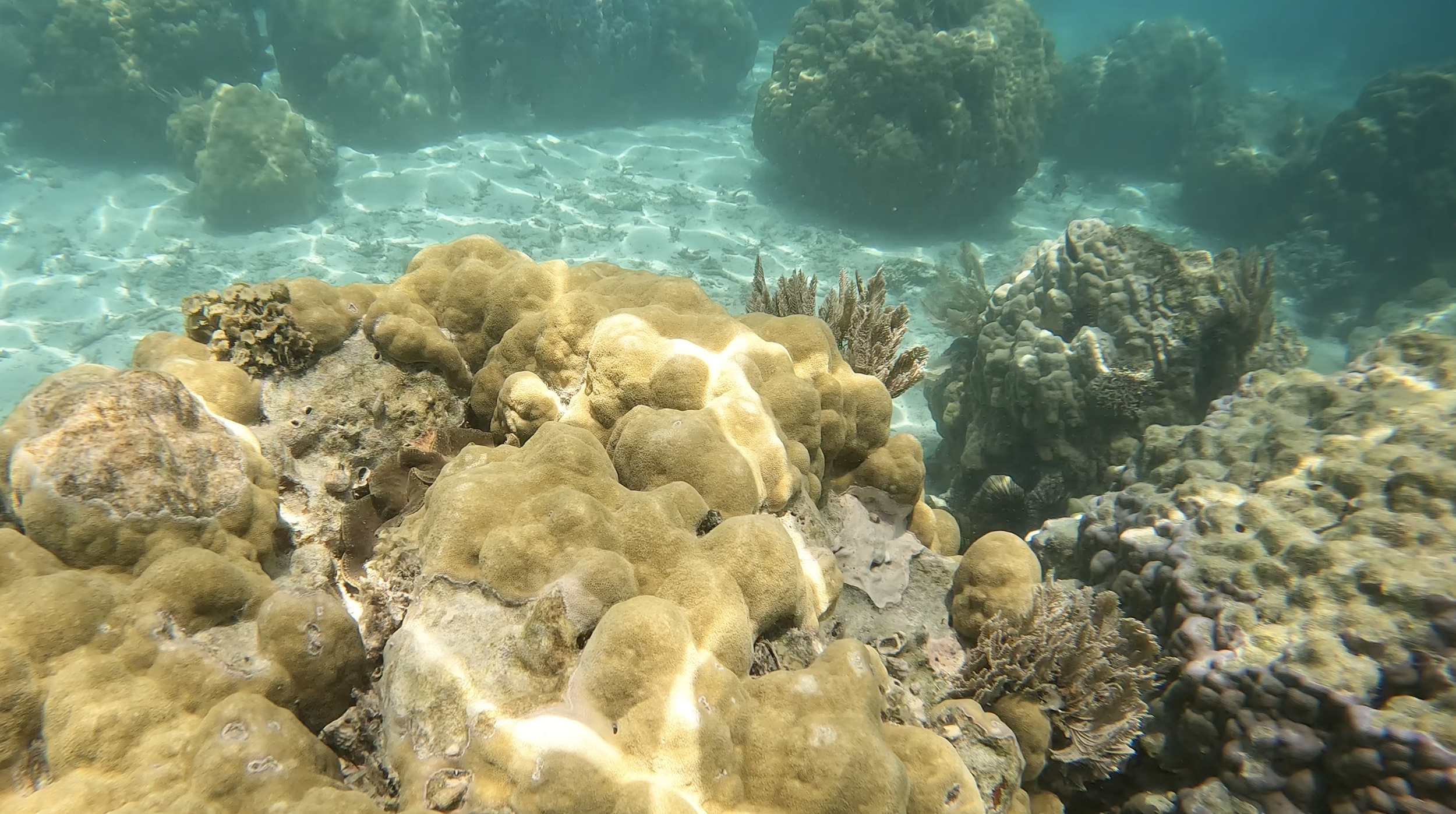 Screenshot 2025-04-07 at 12.25.46 PM.png