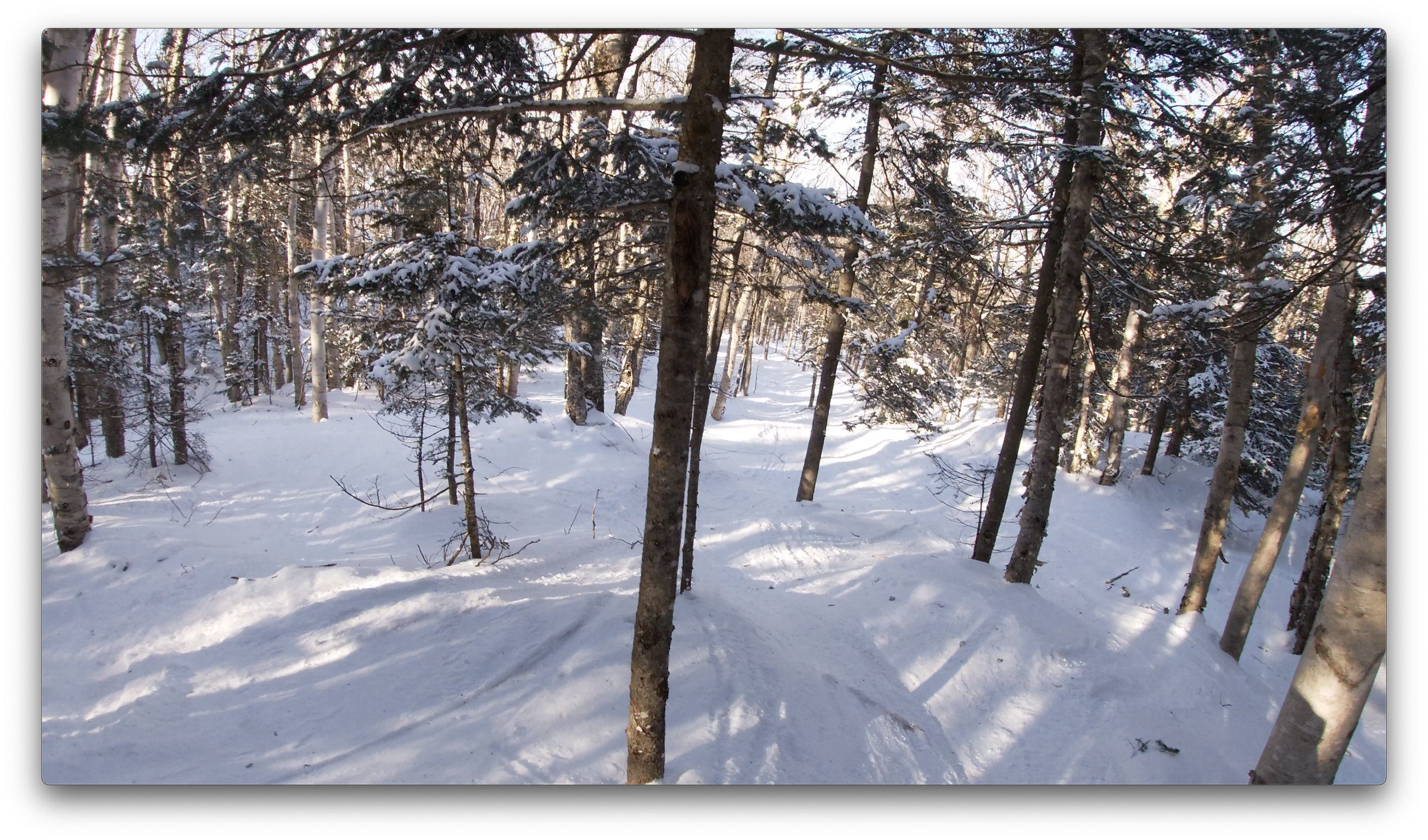 Screenshot 2024-02-26 at 6.57.29 PM.png