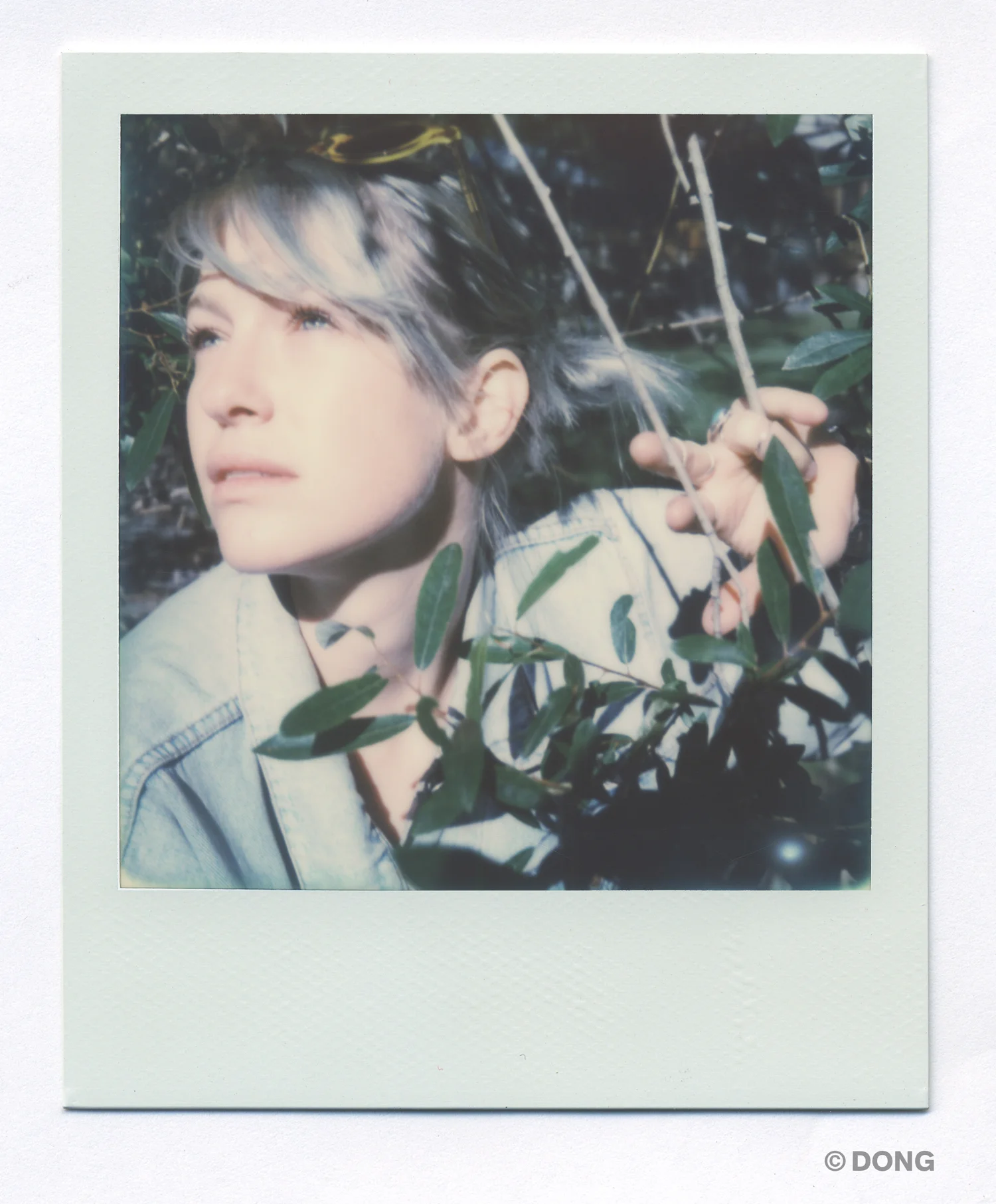 2205_Polaroid_600A.jpg