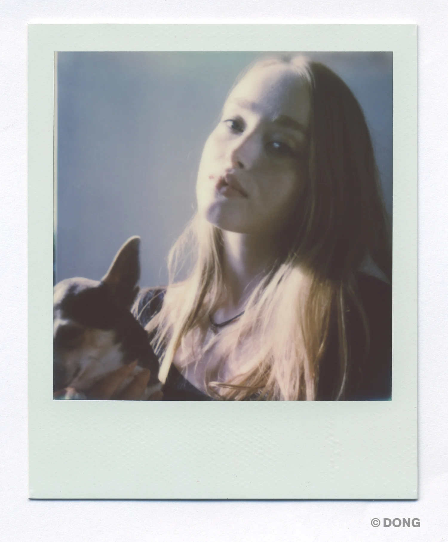 2257_Polaroid_600A.jpg