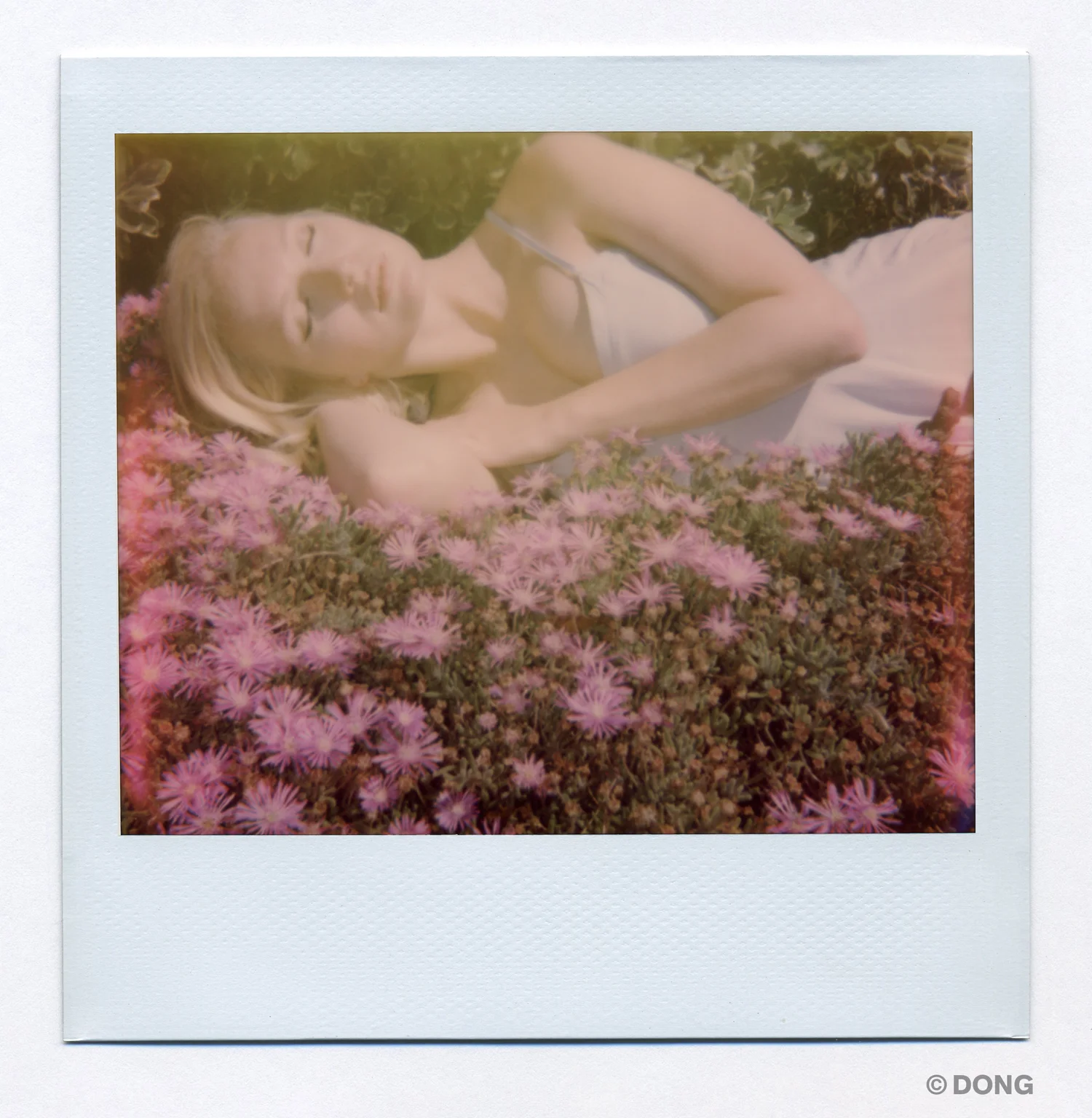 2378_Polaroid_Spectra_H1.jpg