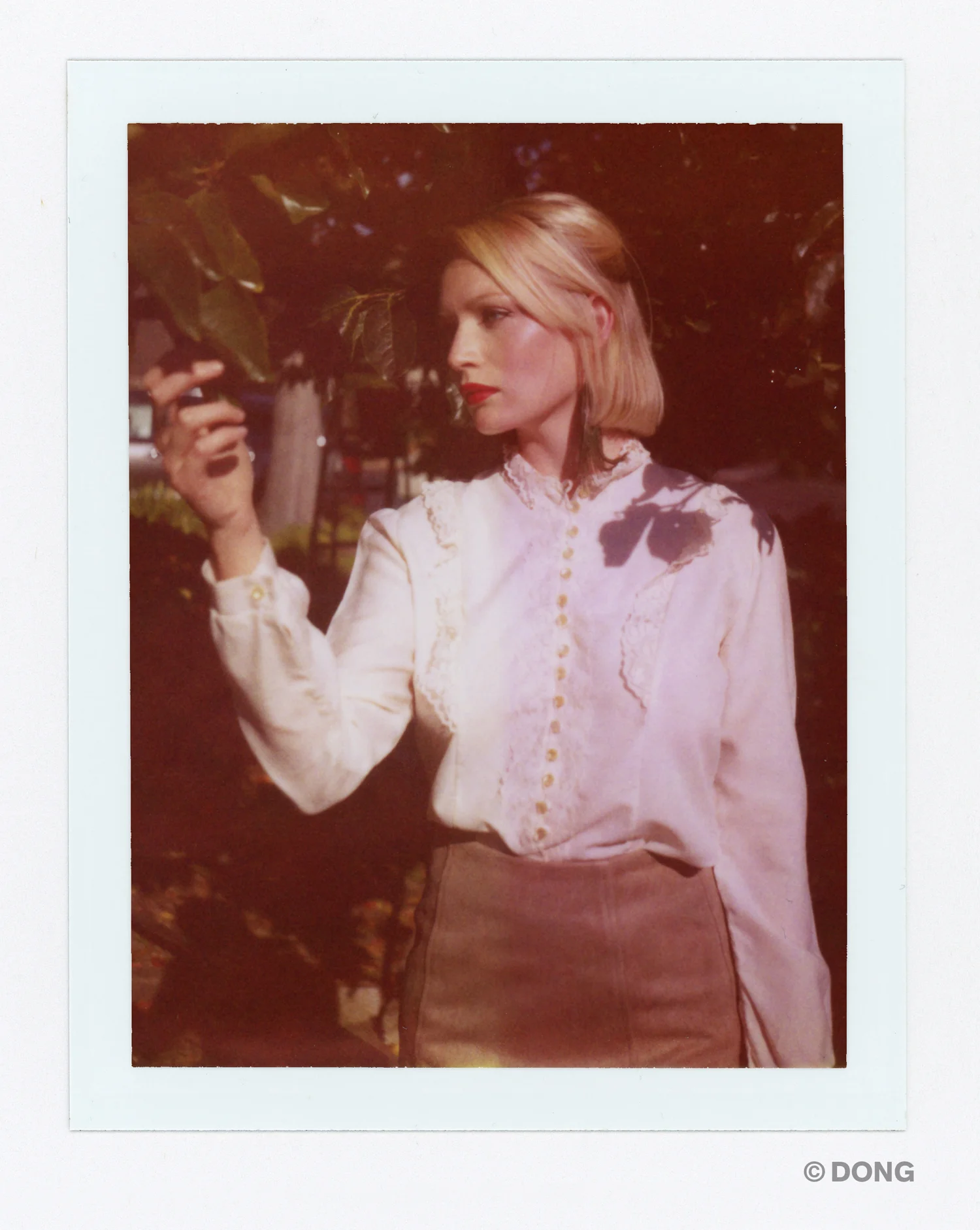 2584_Polaroid_Land_V.jpg