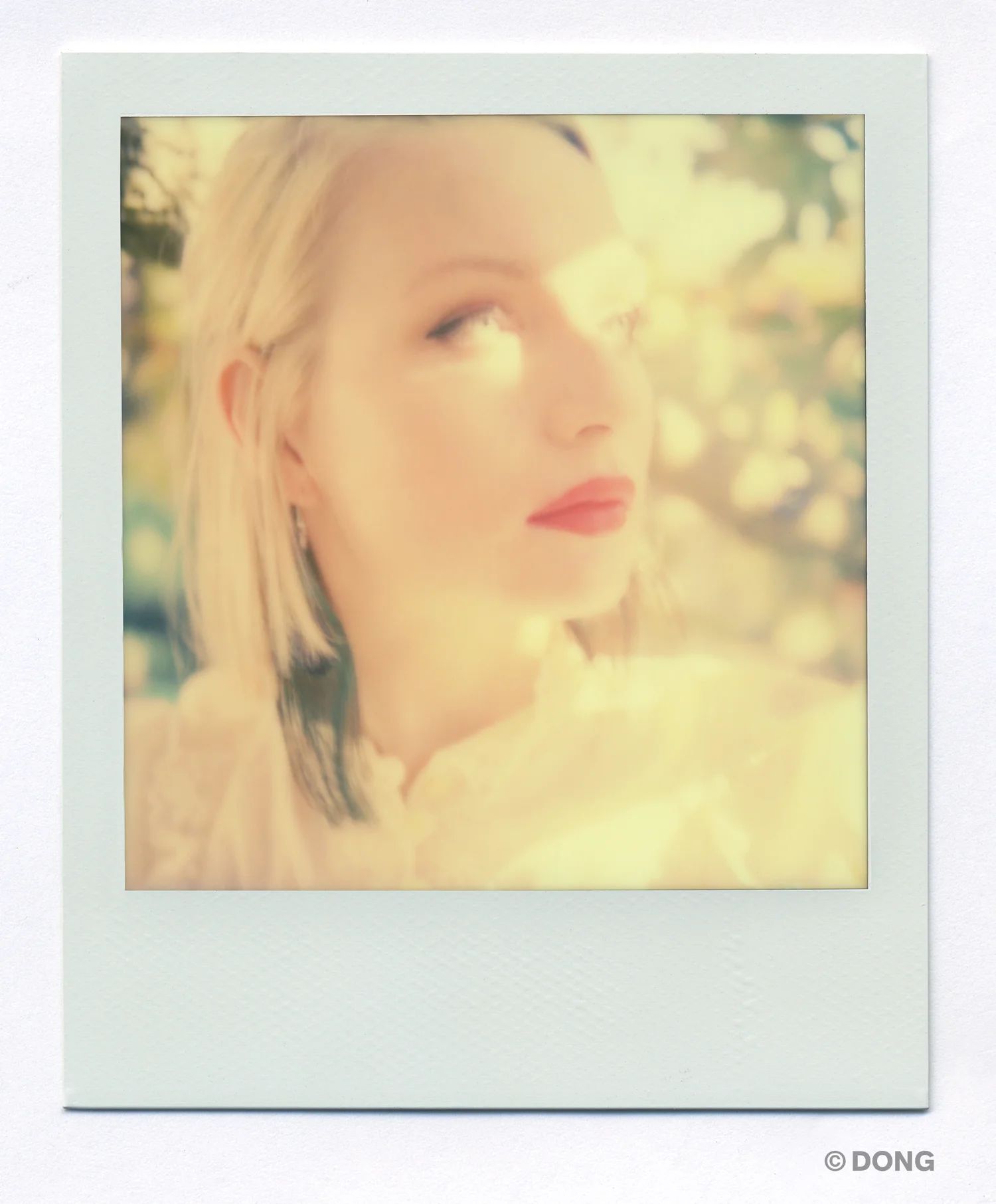 2579_Polaroid_Sx70A.jpg