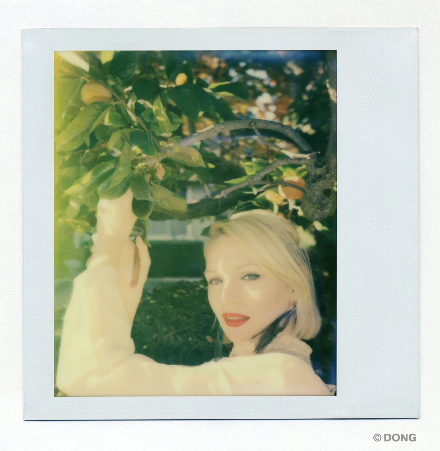 2582_Polaroid_Spectra_V1.jpg