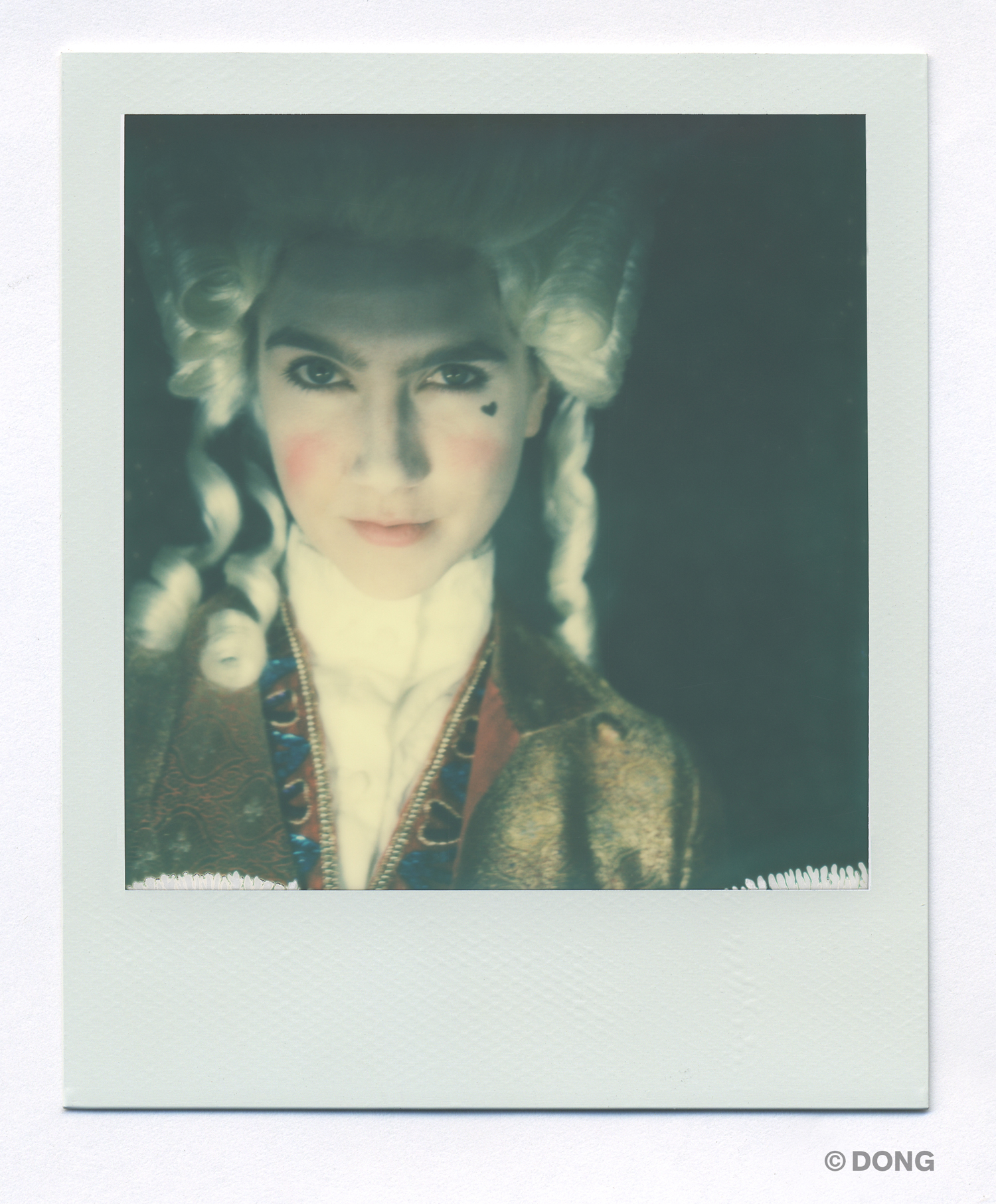 2734_Polaroid_Sx70A.jpg
