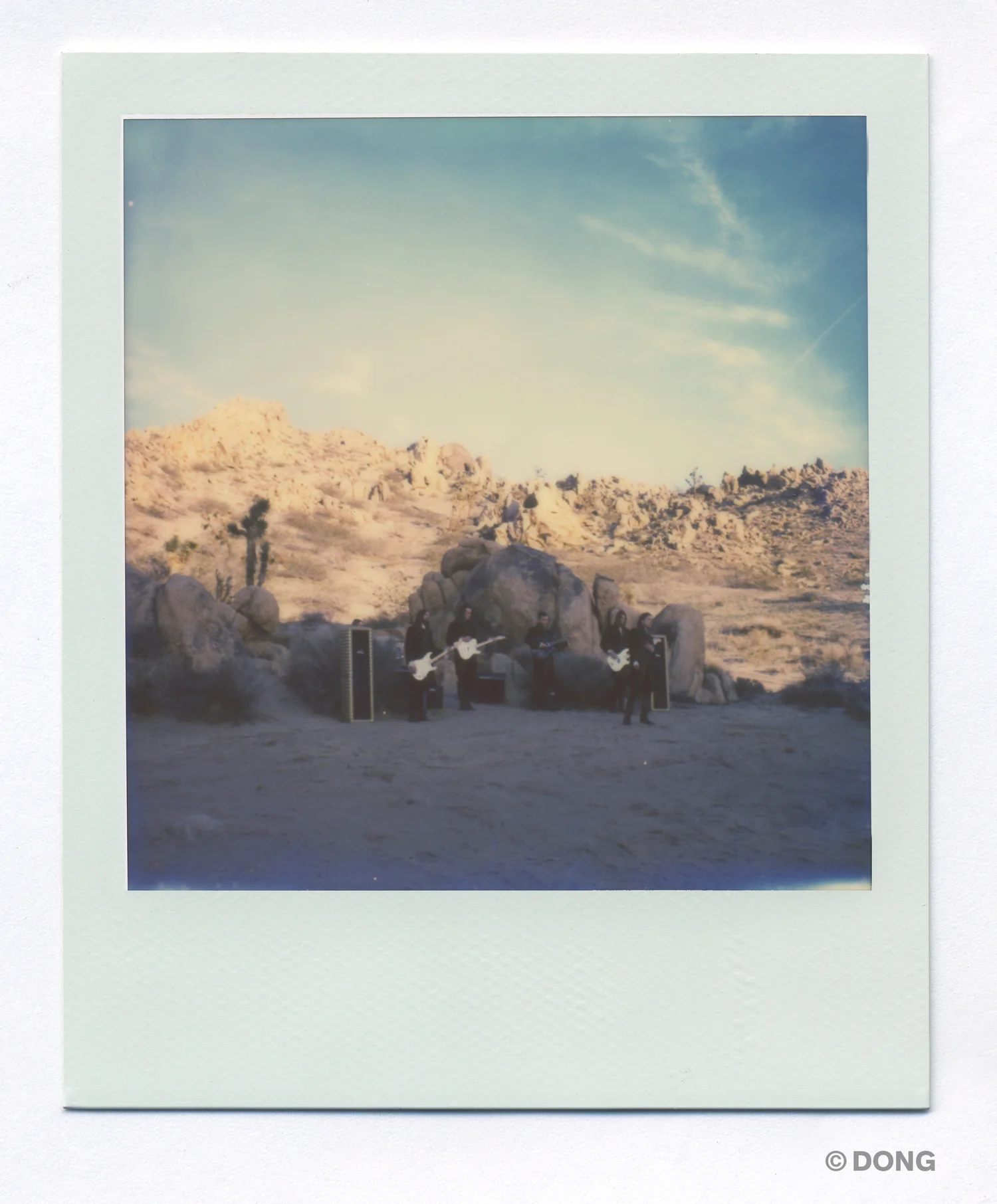 2755_Polaroid_Sx70A.jpg