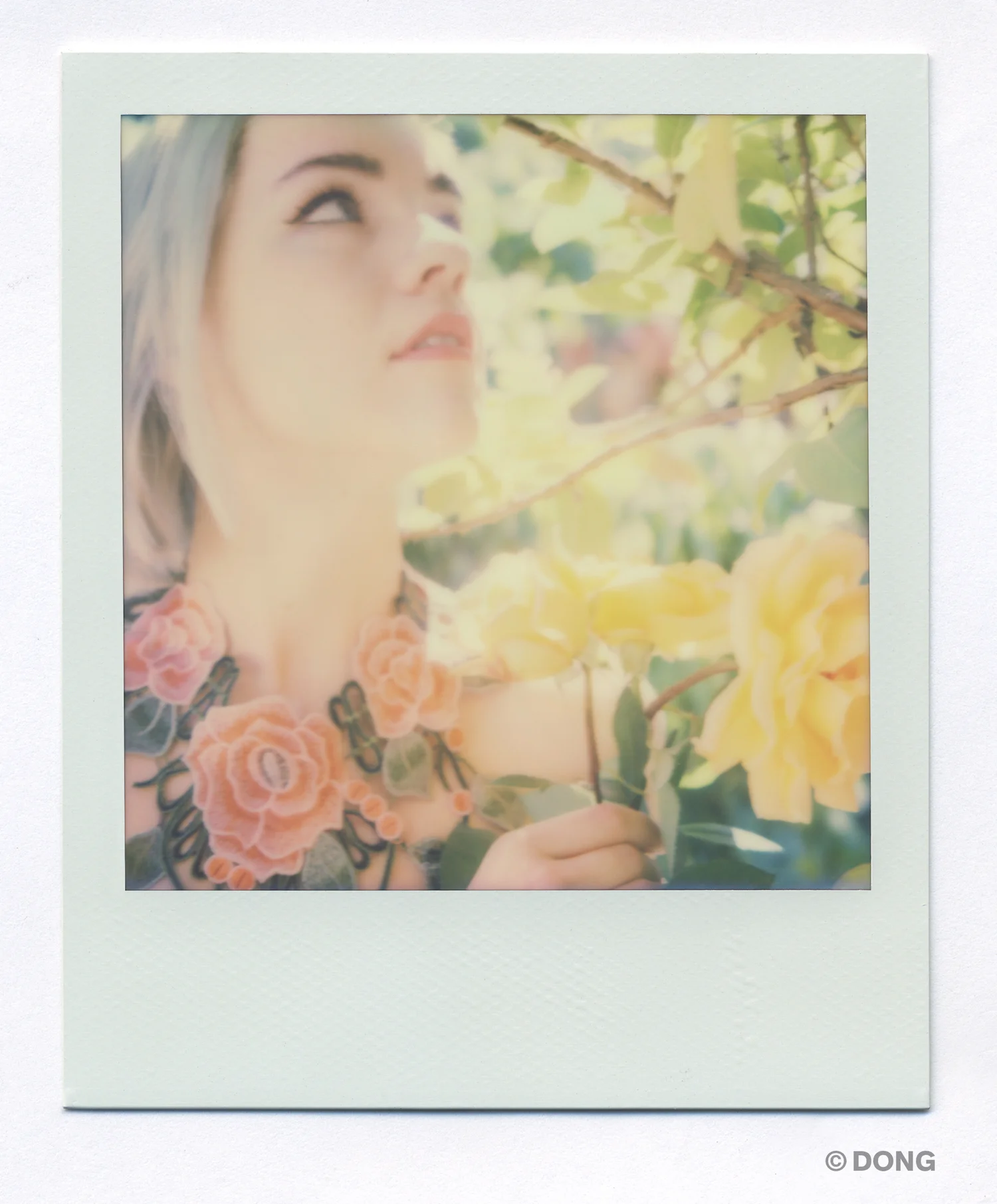 2792_Polaroid_Sx70A.jpg