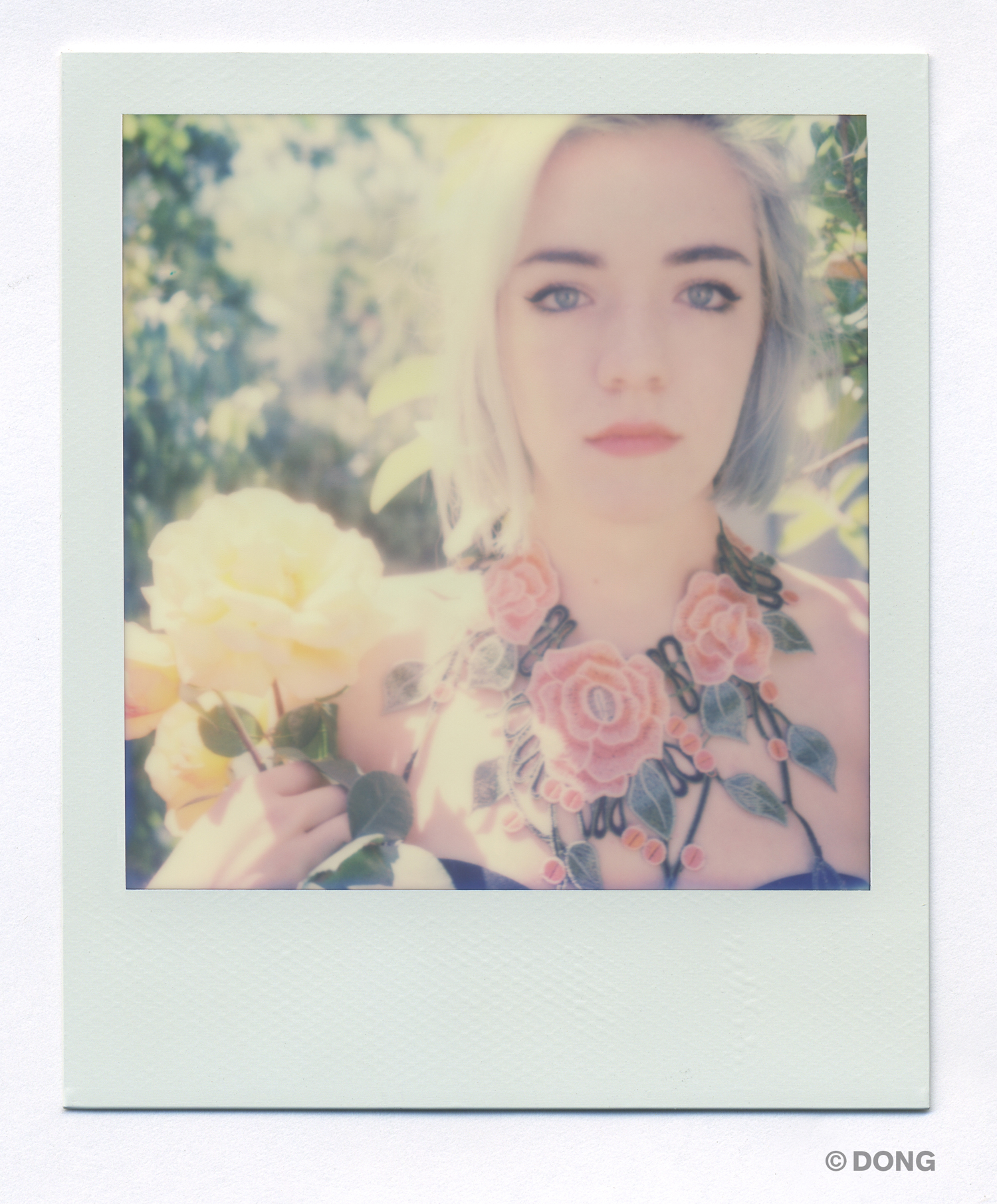 2794_Polaroid_Sx70A.jpg
