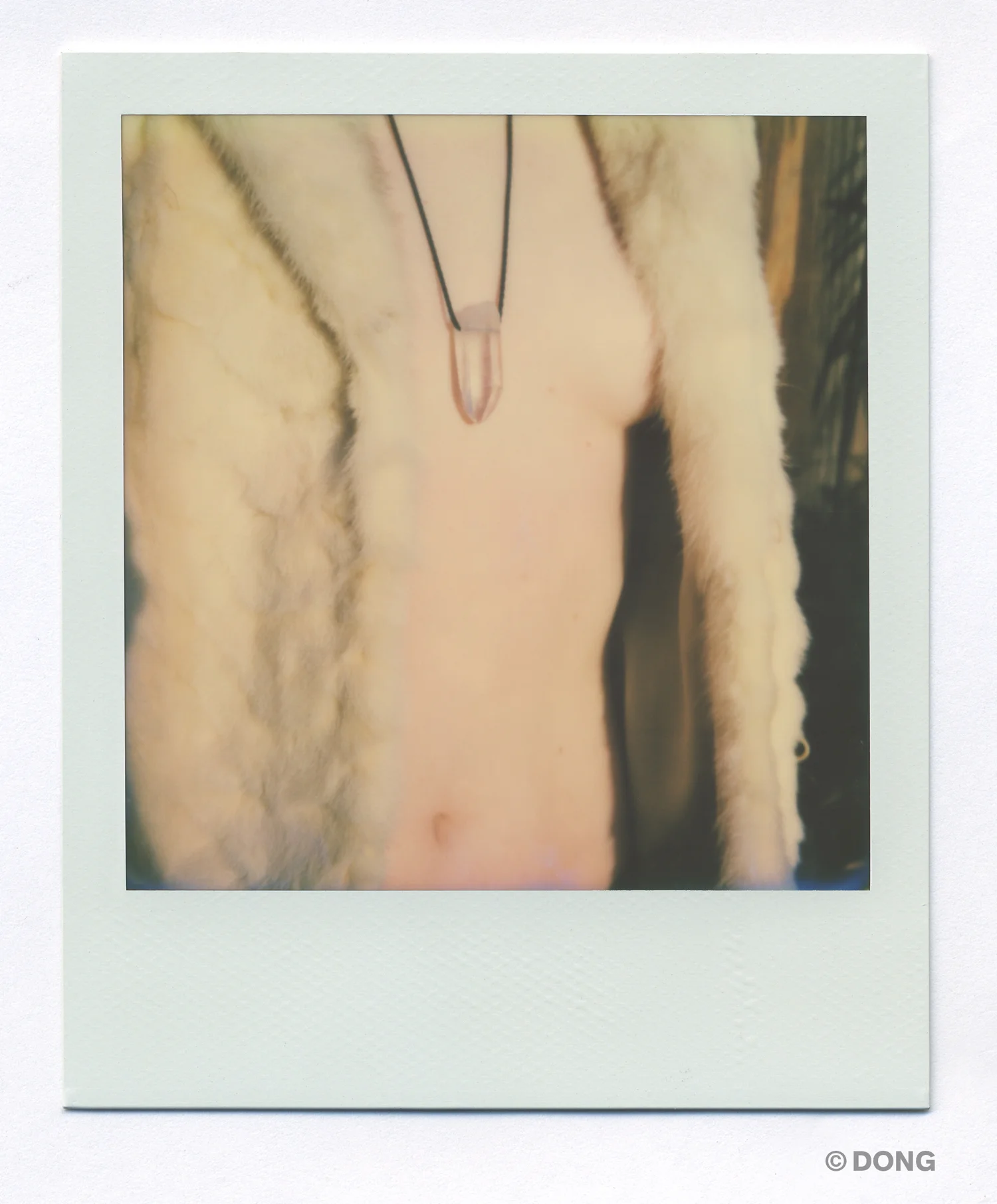 3085_Polaroid_Sx70A.jpg