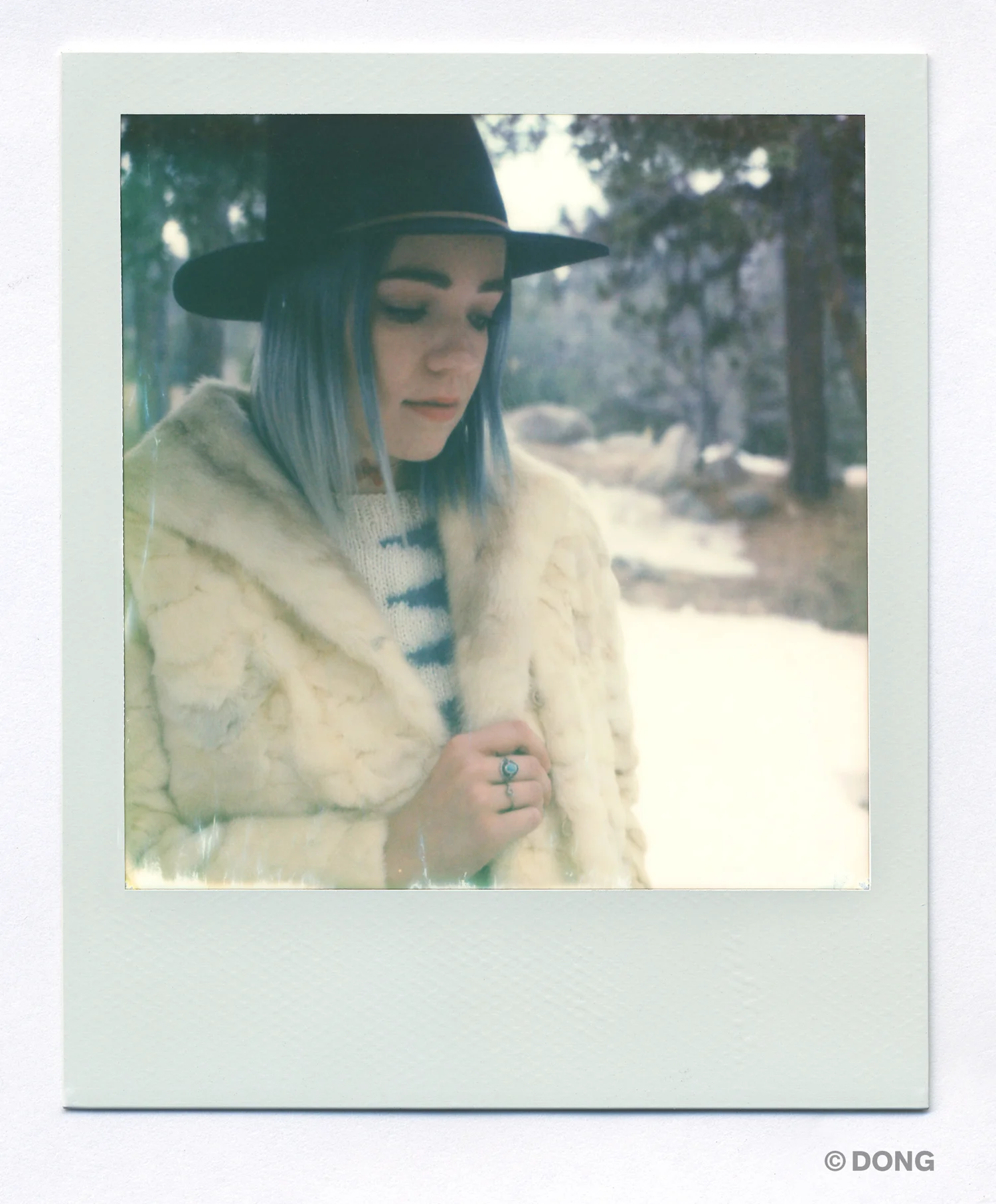 3199_Polaroid_Sx70A.jpg