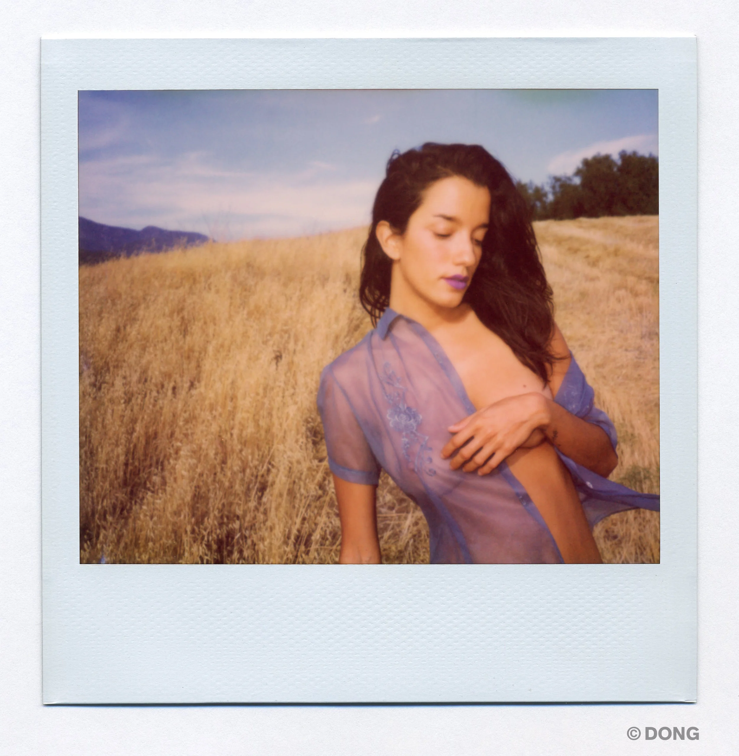 3430_Polaroid_Spectra_H1.jpg