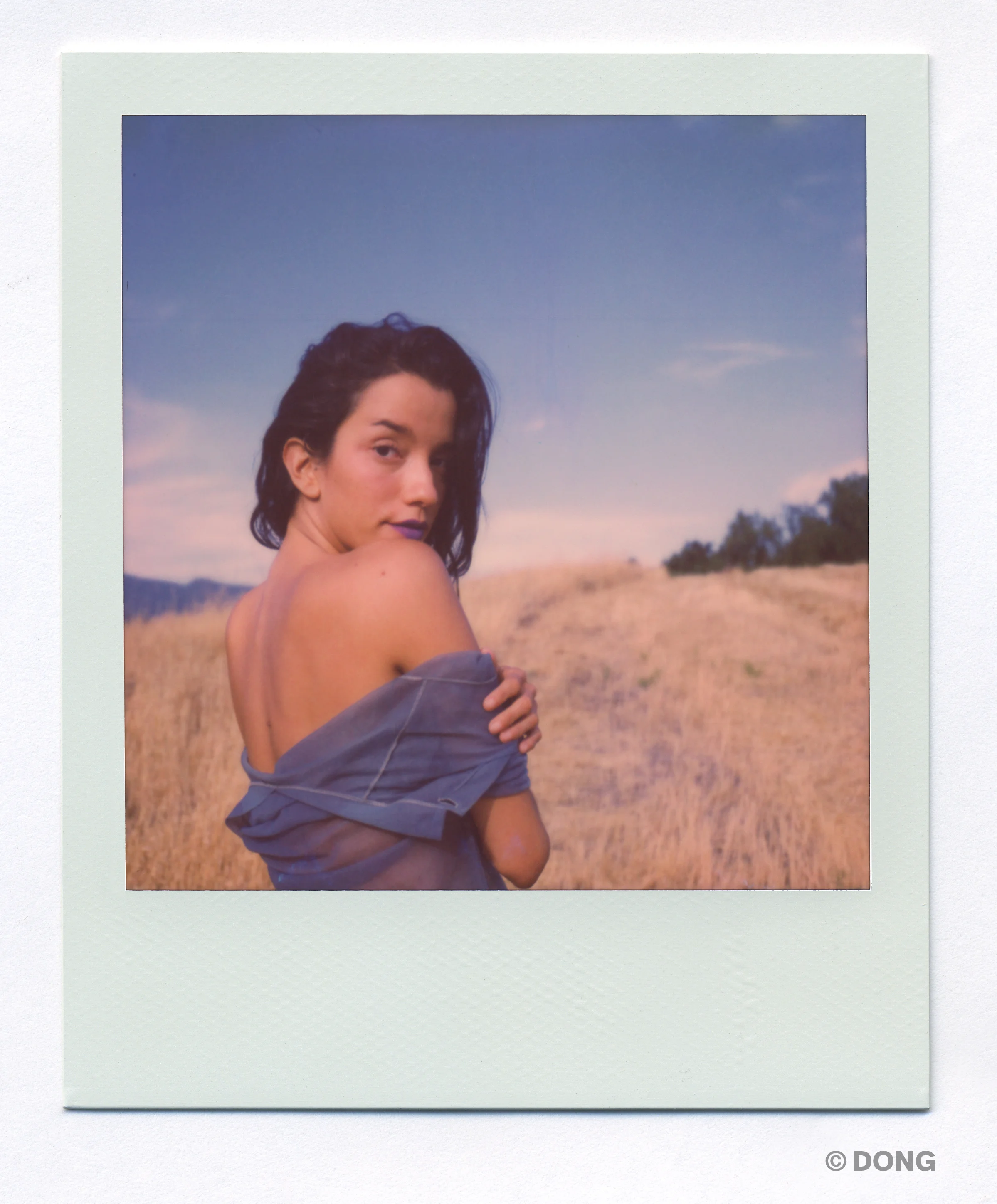 3433_Polaroid_Sx70A.jpg