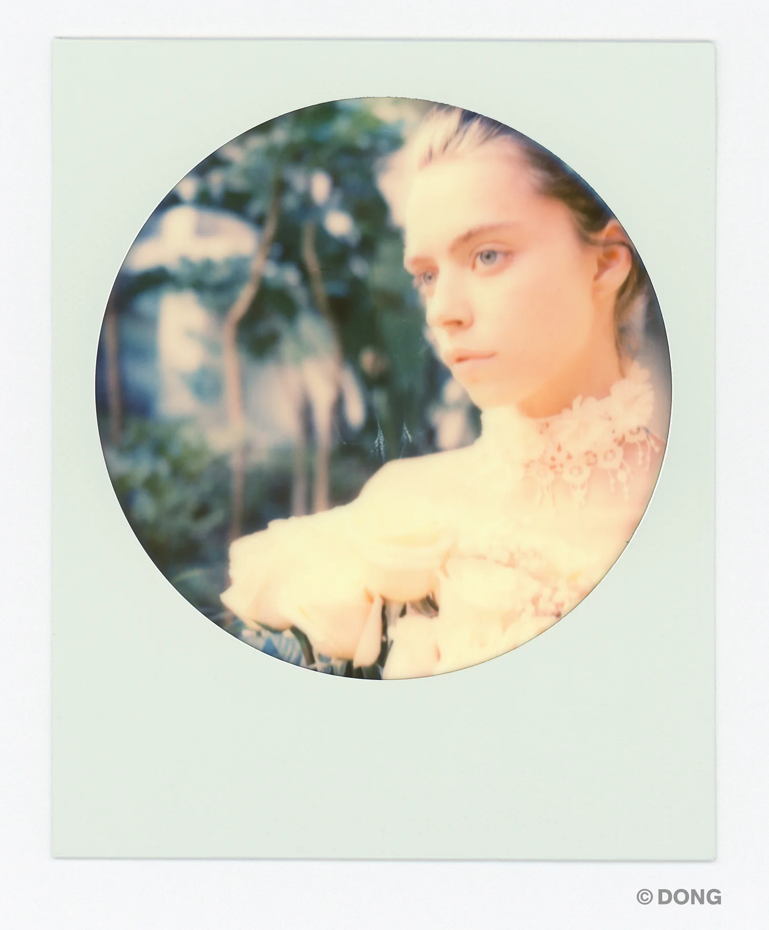 3635_Polaroid_Sx70_circle.jpg