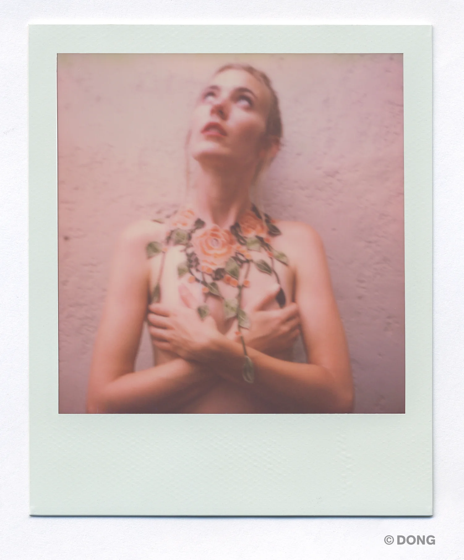 3860.5_Polaroid_Sx70A.jpg