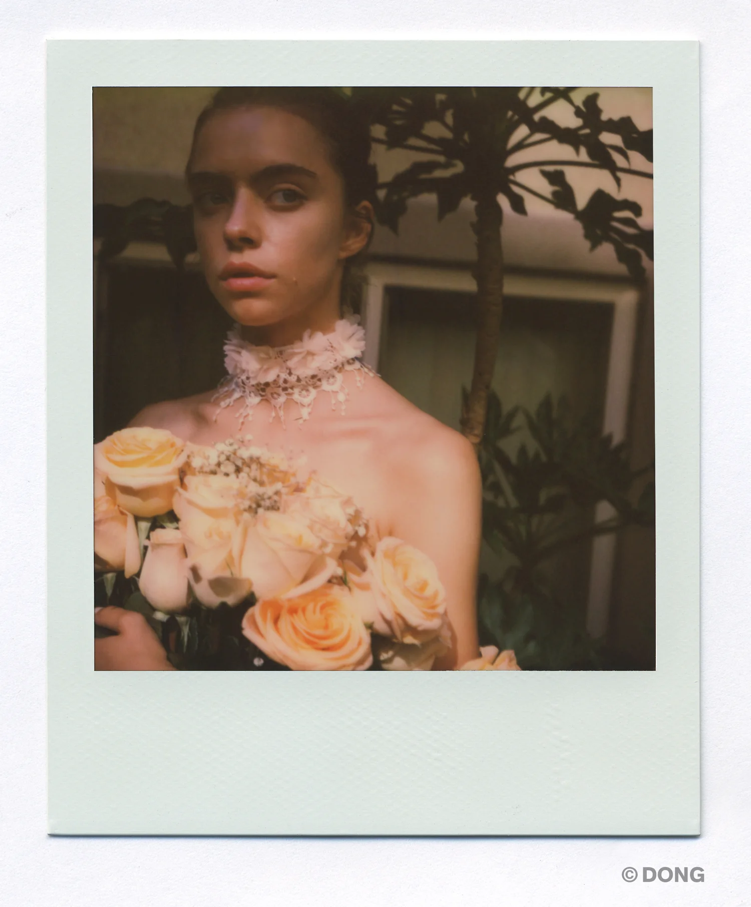 3642_Polaroid_Sx70A.jpg