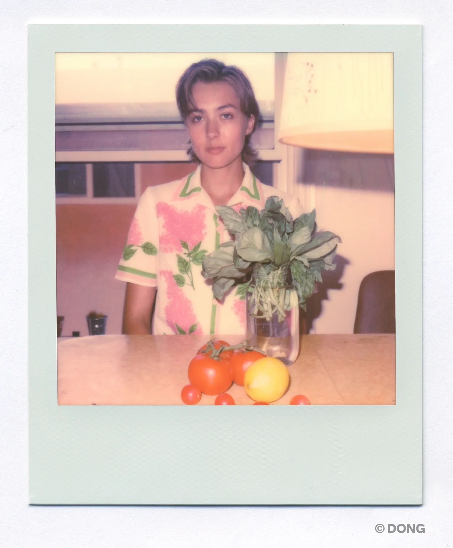 4809_Polaroid_Sx70A.jpg