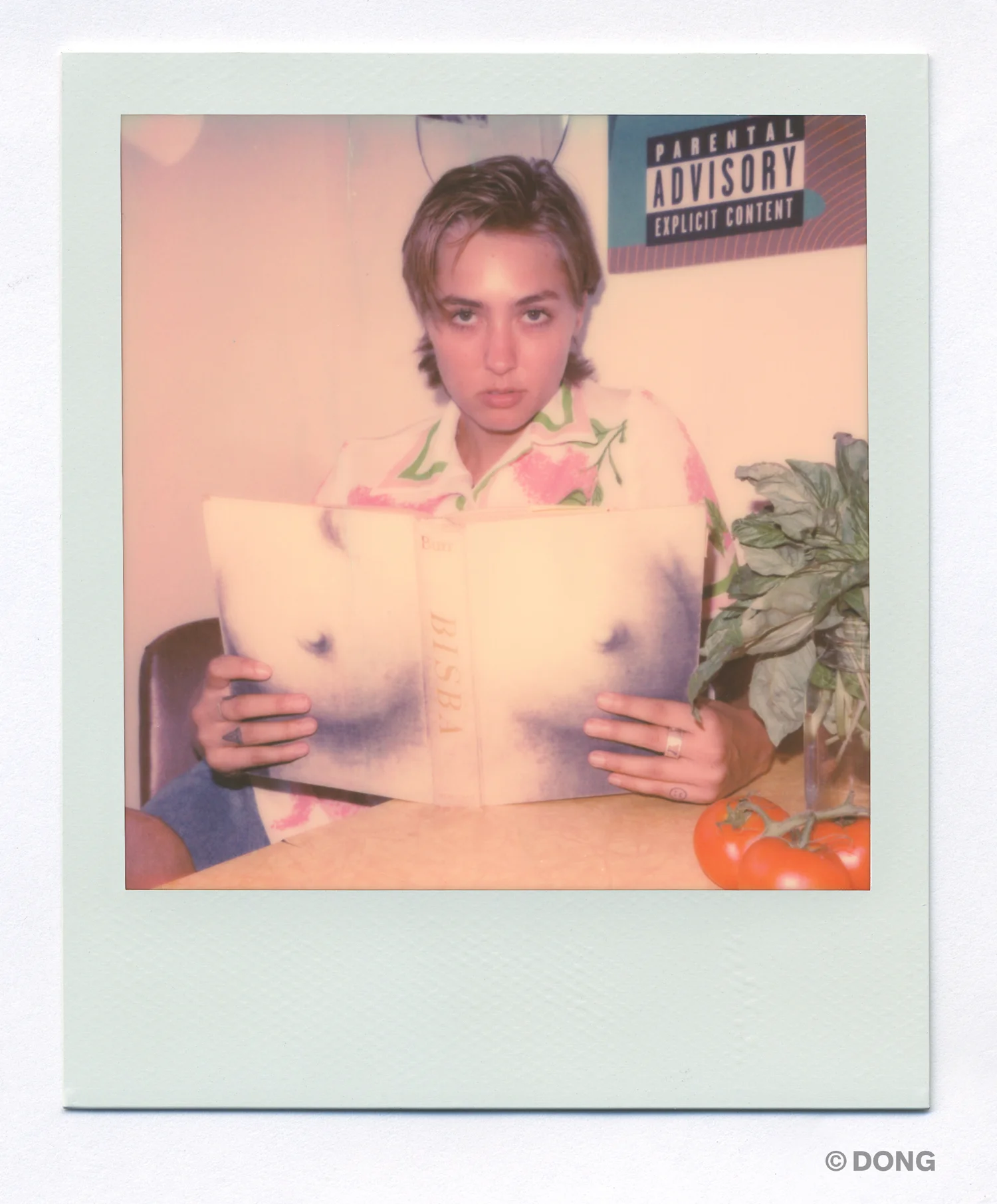 4811_Polaroid_Sx70A.jpg