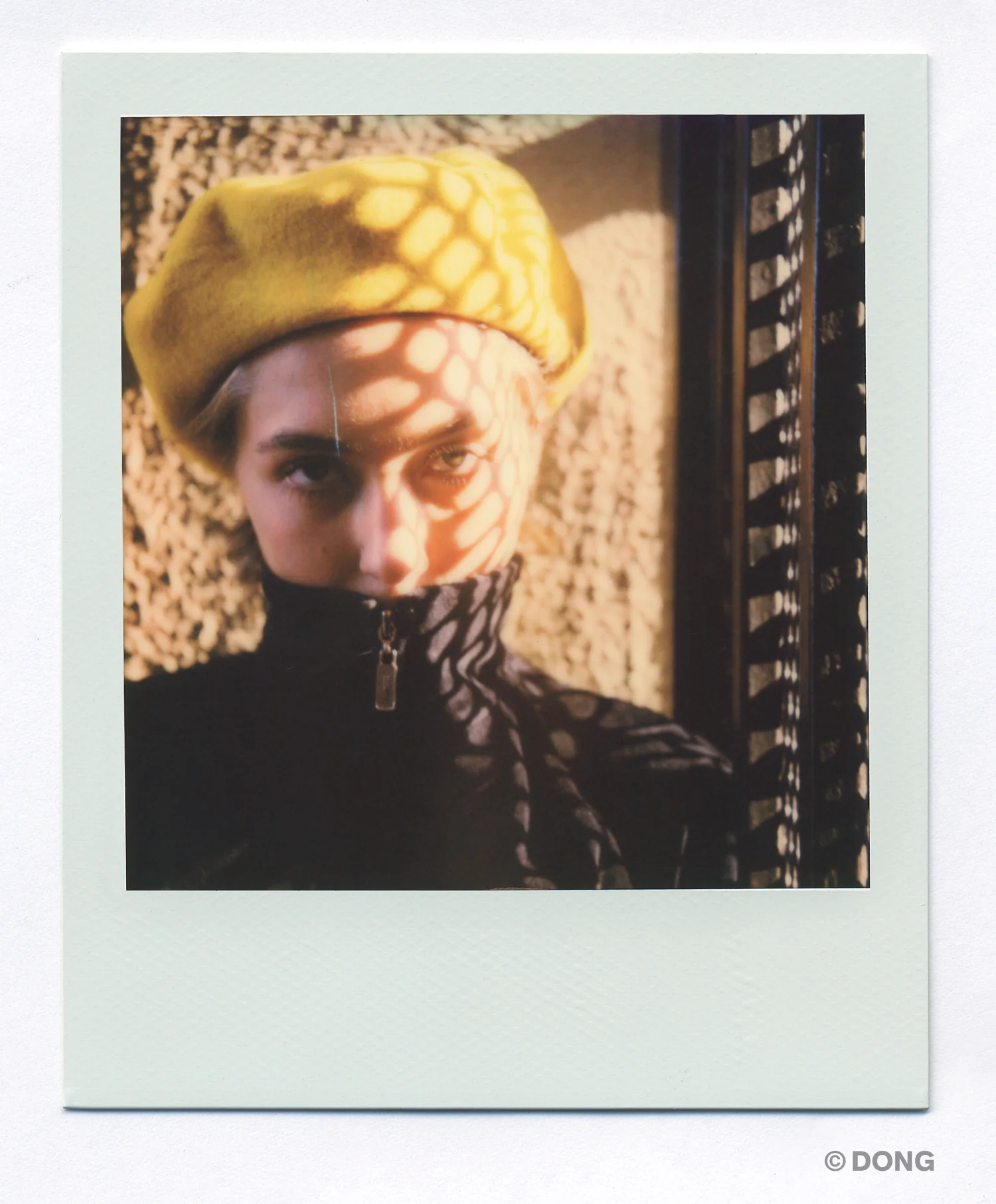 4817_Polaroid_Sx70A.jpg