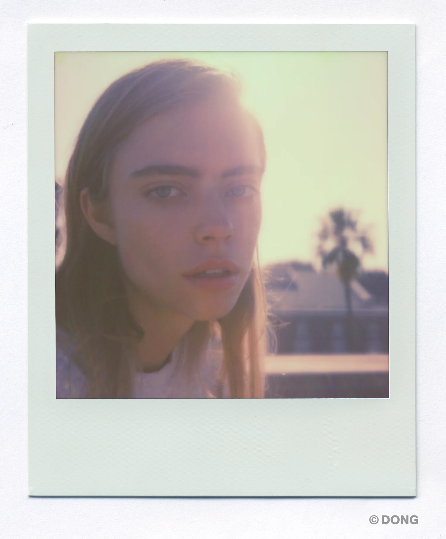 3685_Polaroid_Sx70A.jpg