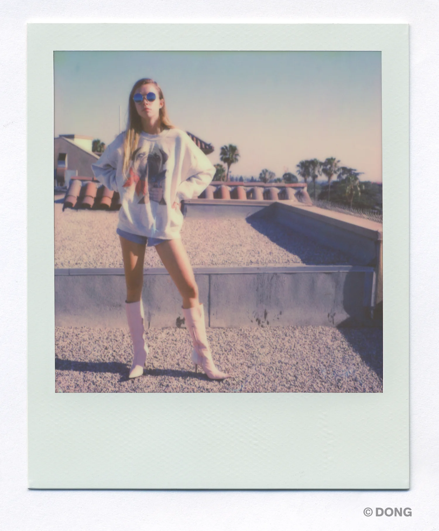 3682.5_Polaroid_Sx70A.jpg