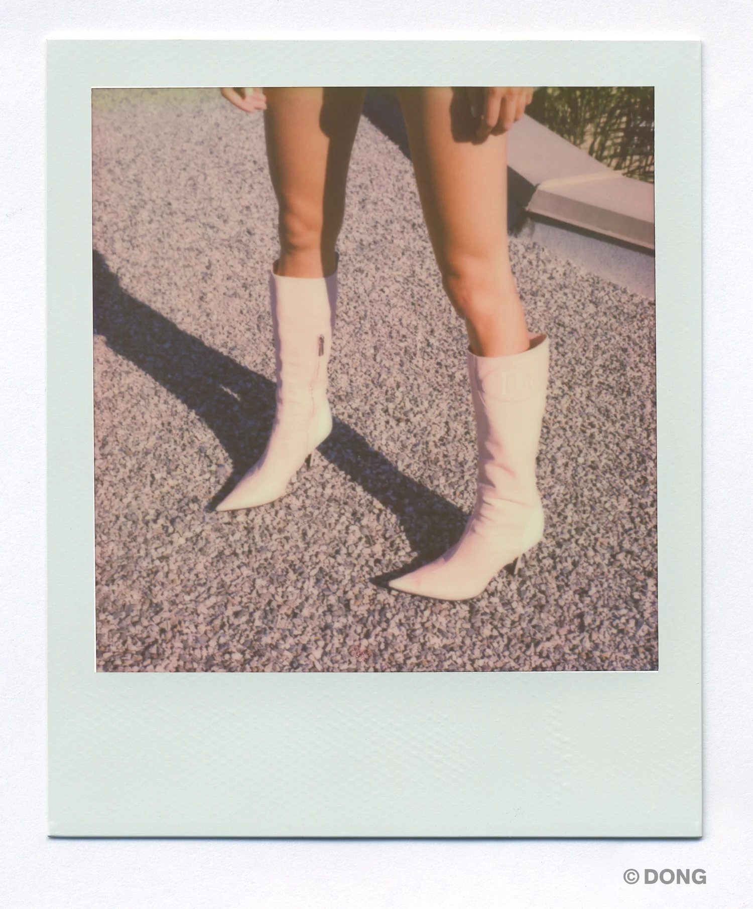 3687_Polaroid_Sx70A.jpg
