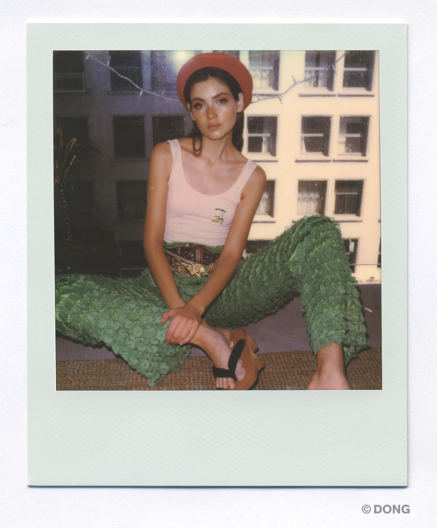 4910_Polaroid_Sx70A.jpg