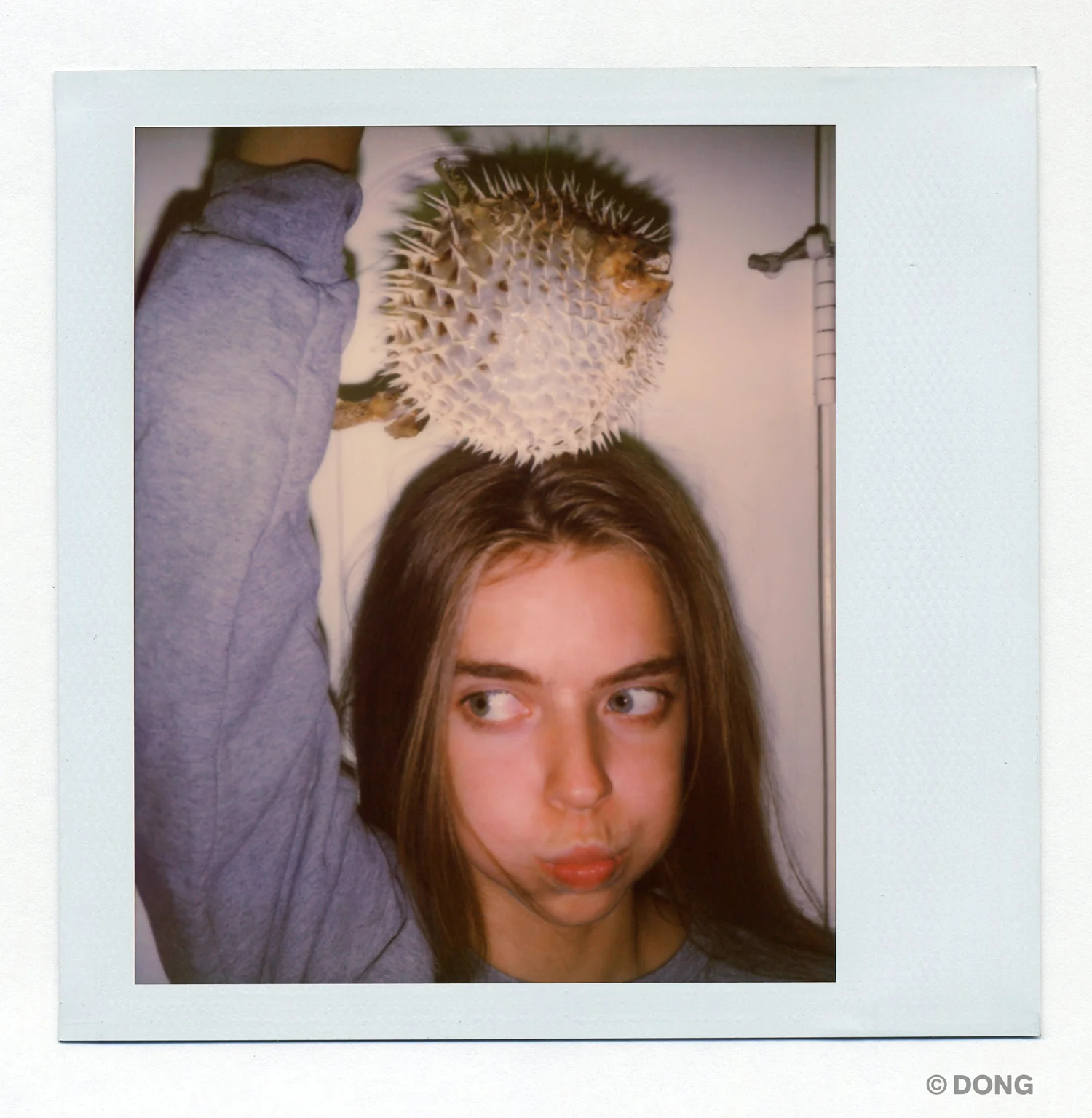 3660_Polaroid_Spectra_V1.jpg