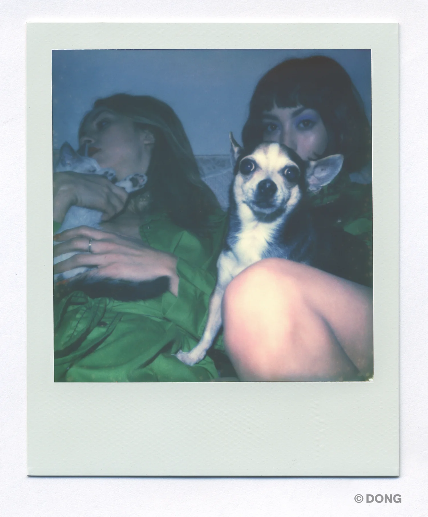 3181_Polaroid_Sx70A.jpg