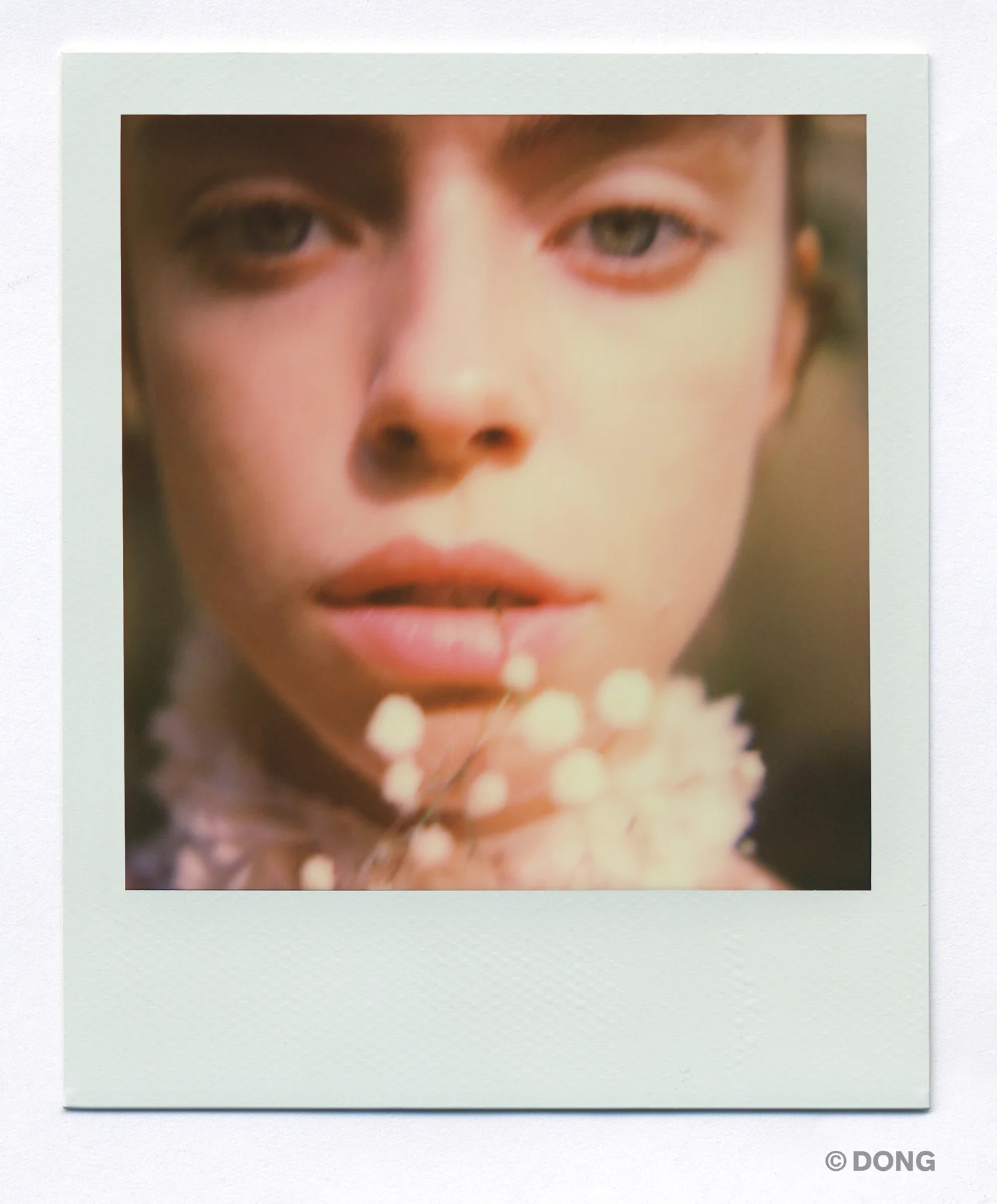 3642.5_Polaroid_Sx70A.jpg