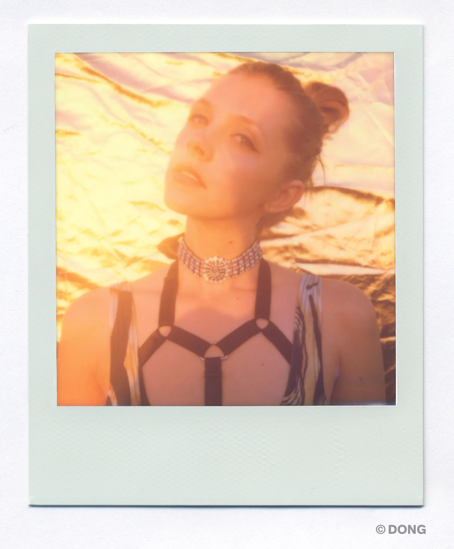 2829_Polaroid_Sx70A.jpg