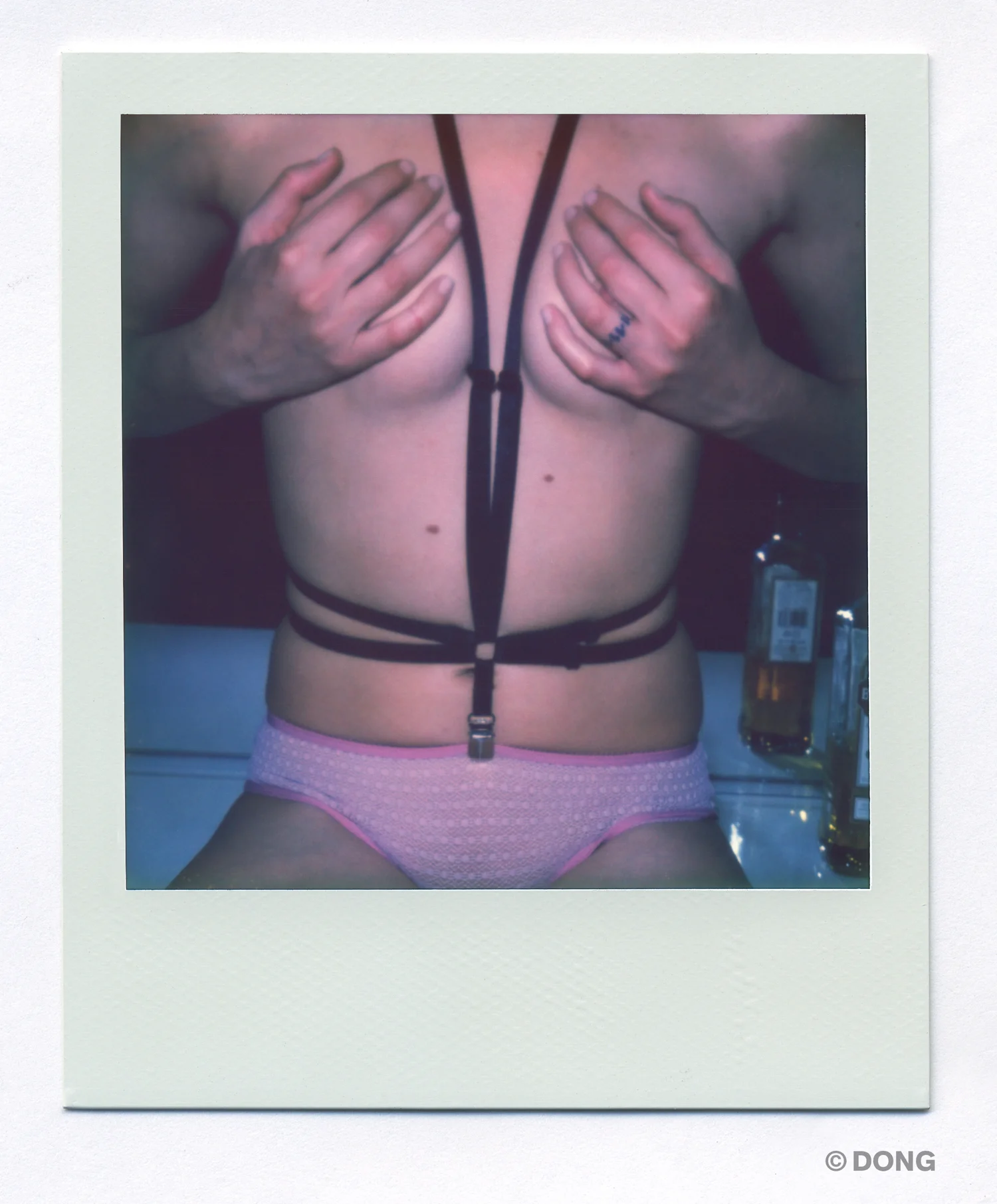 3060_Polaroid_Sx70A.jpg