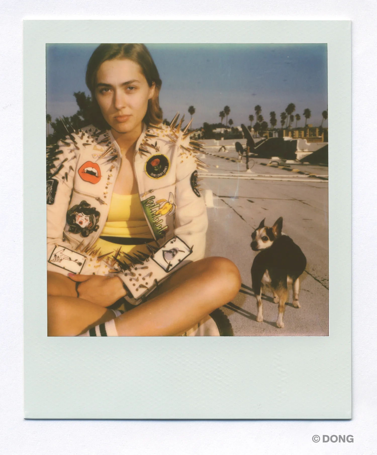 5173_Polaroid_Sx70A.jpg