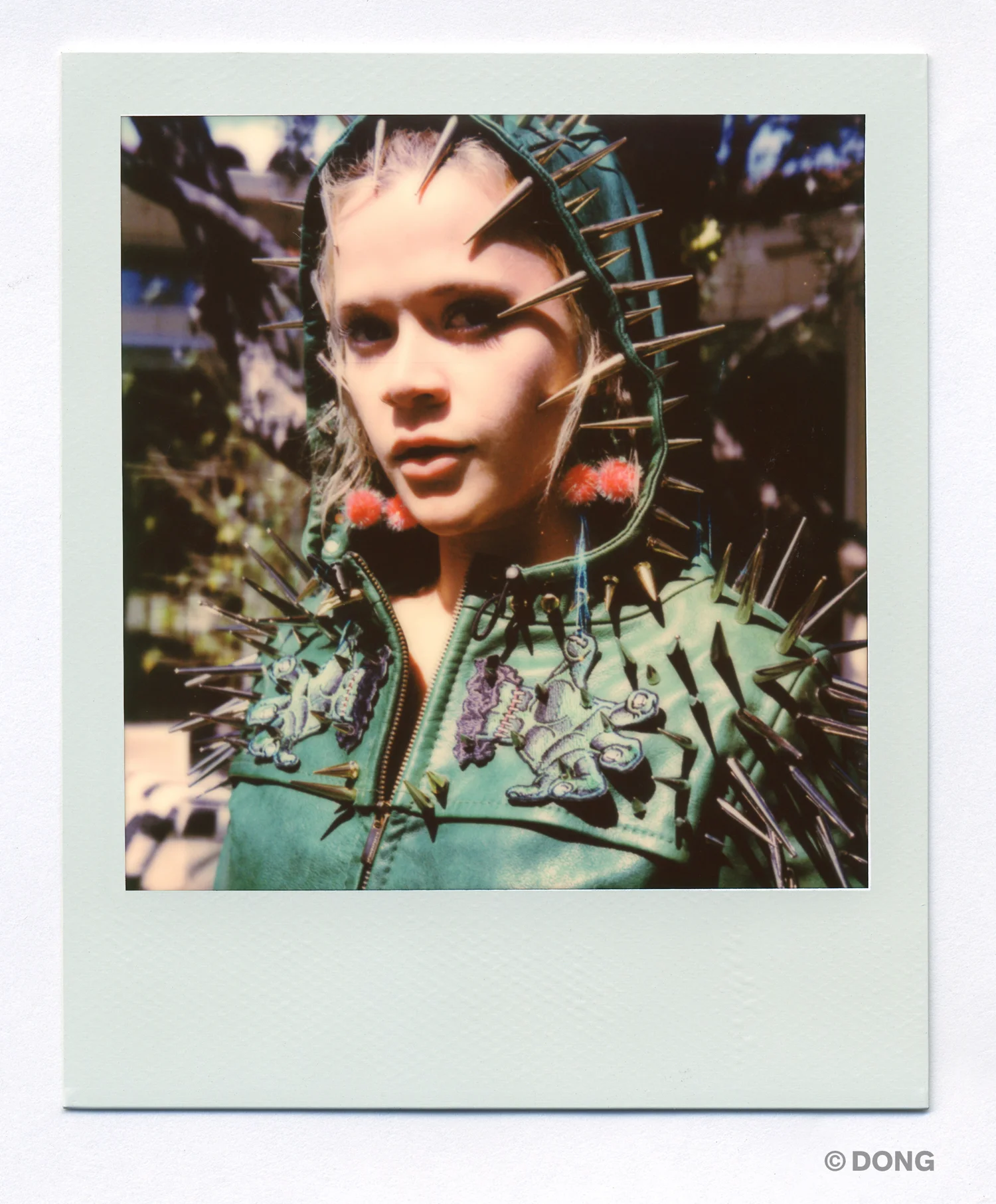 5289_Polaroid_Sx70A.jpg