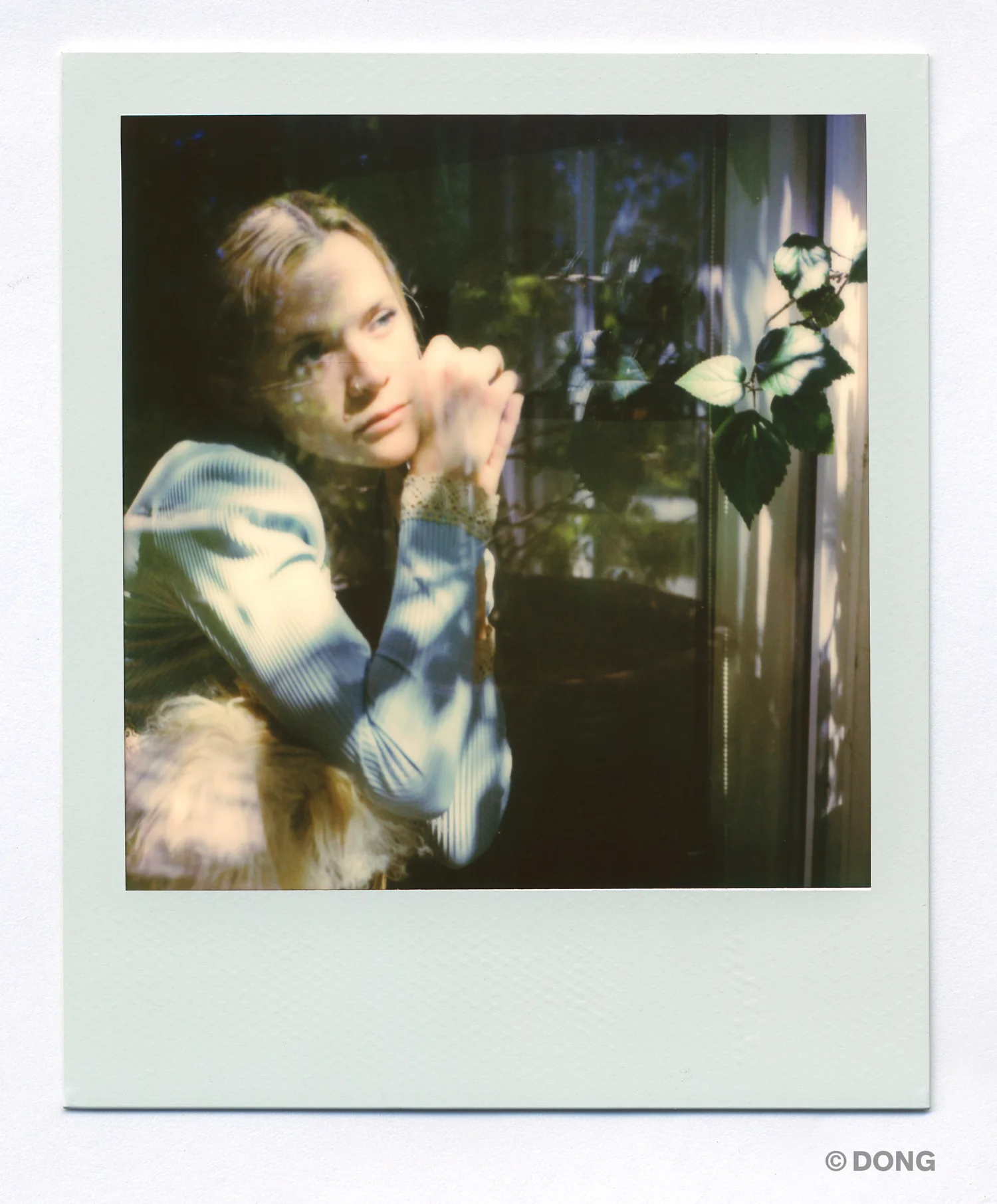 5267_Polaroid_Sx70A.jpg