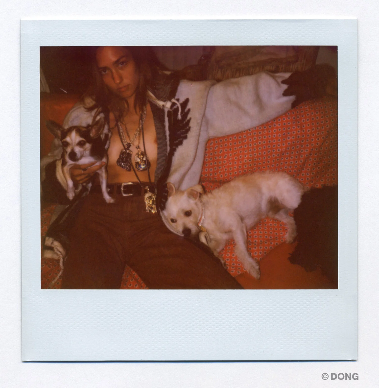 5701_Polaroid_Spectra_H1.jpg